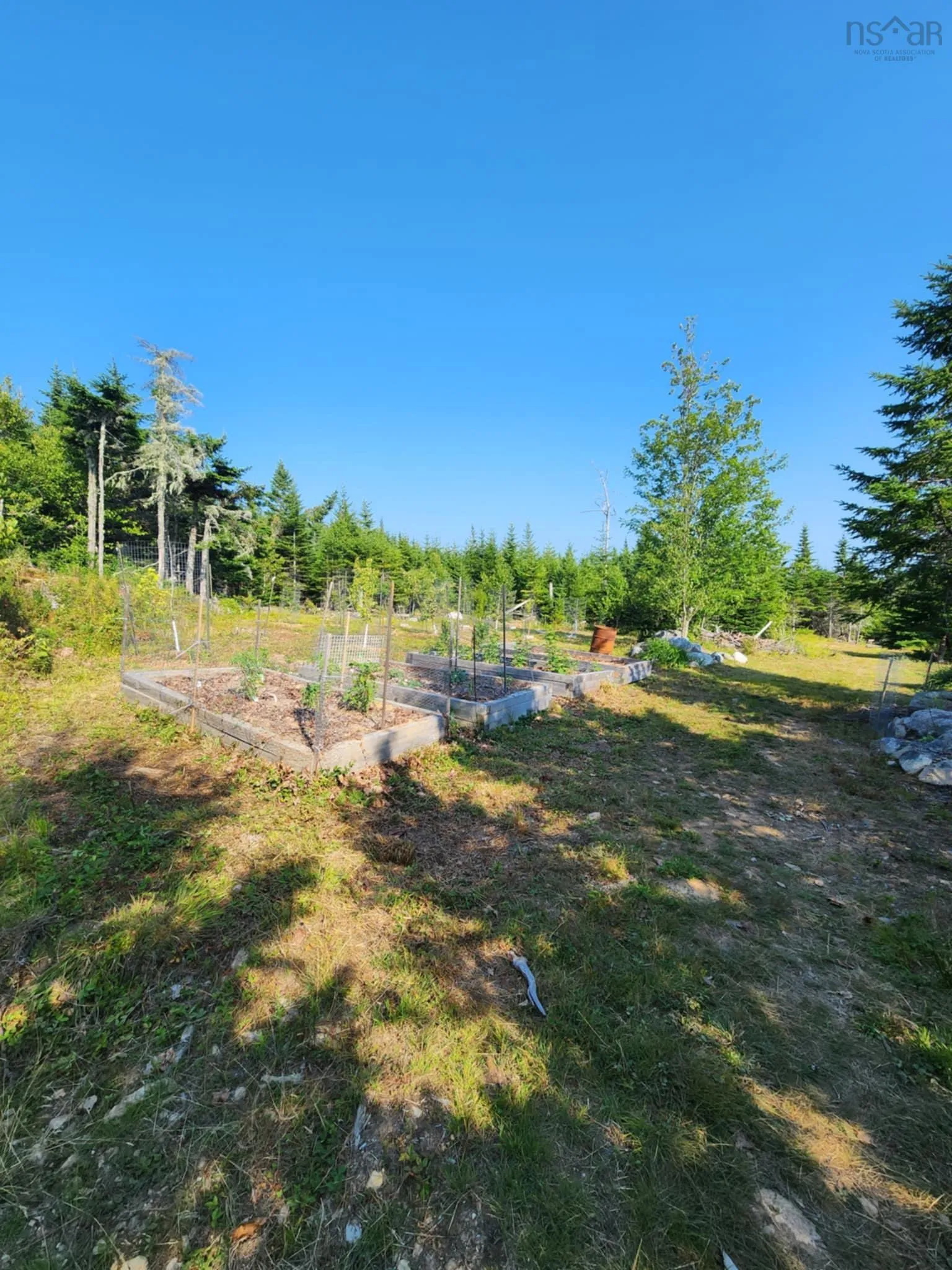 1056 Mines Road, West Petpeswick, NS B0J 2L0, ,Land,For Sale,Mines,202520475