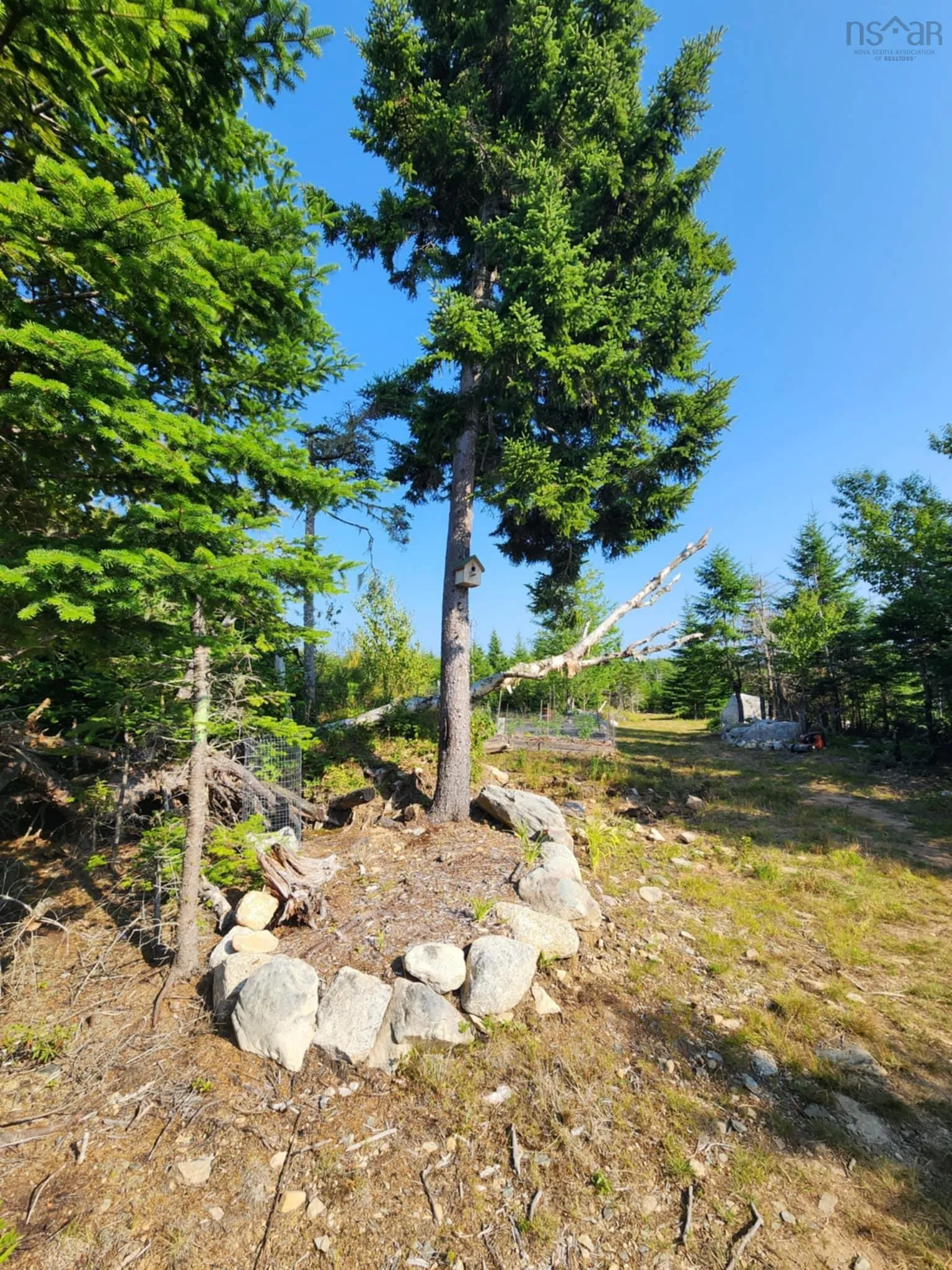 1056 Mines Road, West Petpeswick, NS B0J 2L0, ,Land,For Sale,Mines,202520475