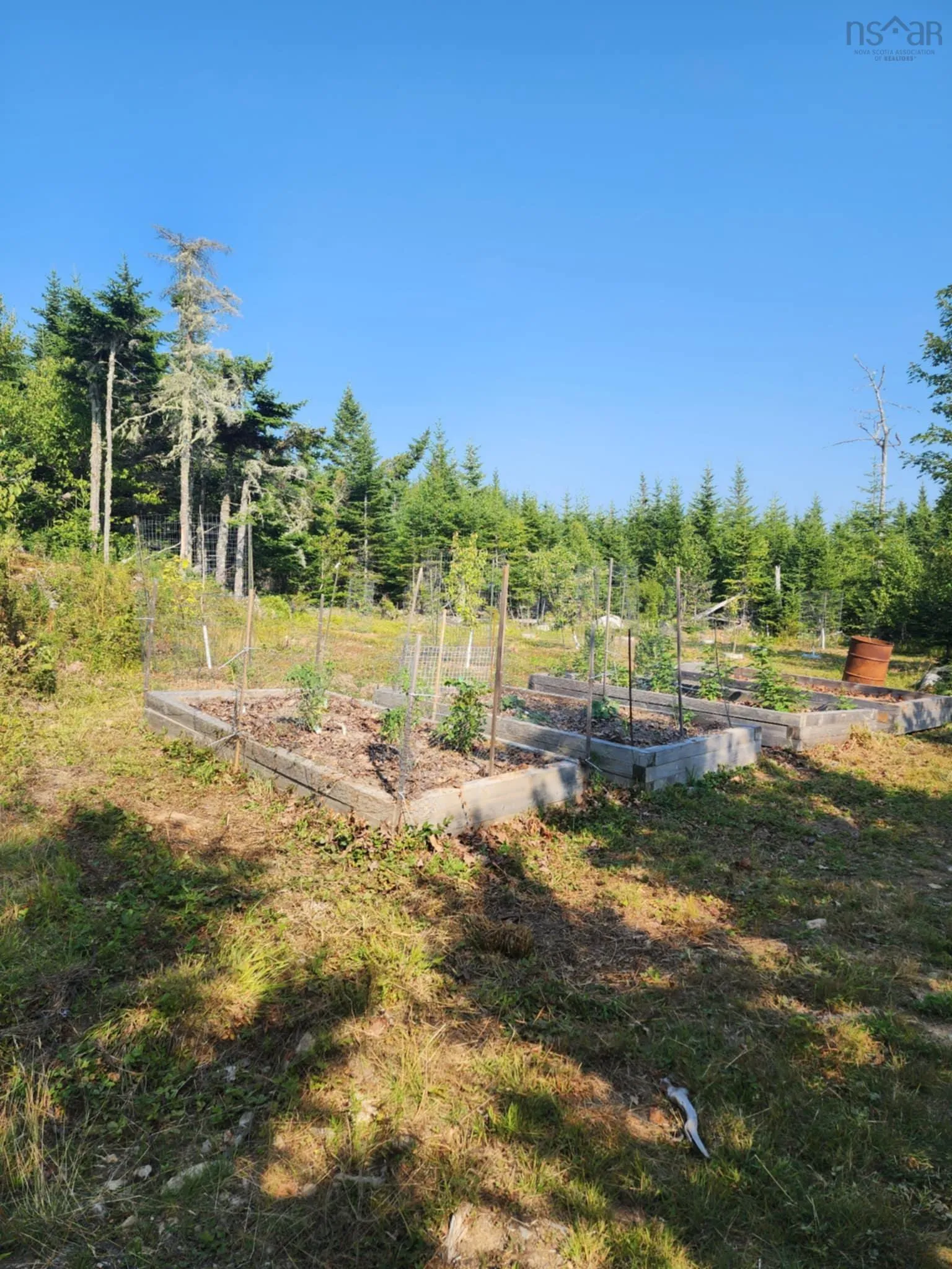 1056 Mines Road, West Petpeswick, NS B0J 2L0, ,Land,For Sale,Mines,202520475