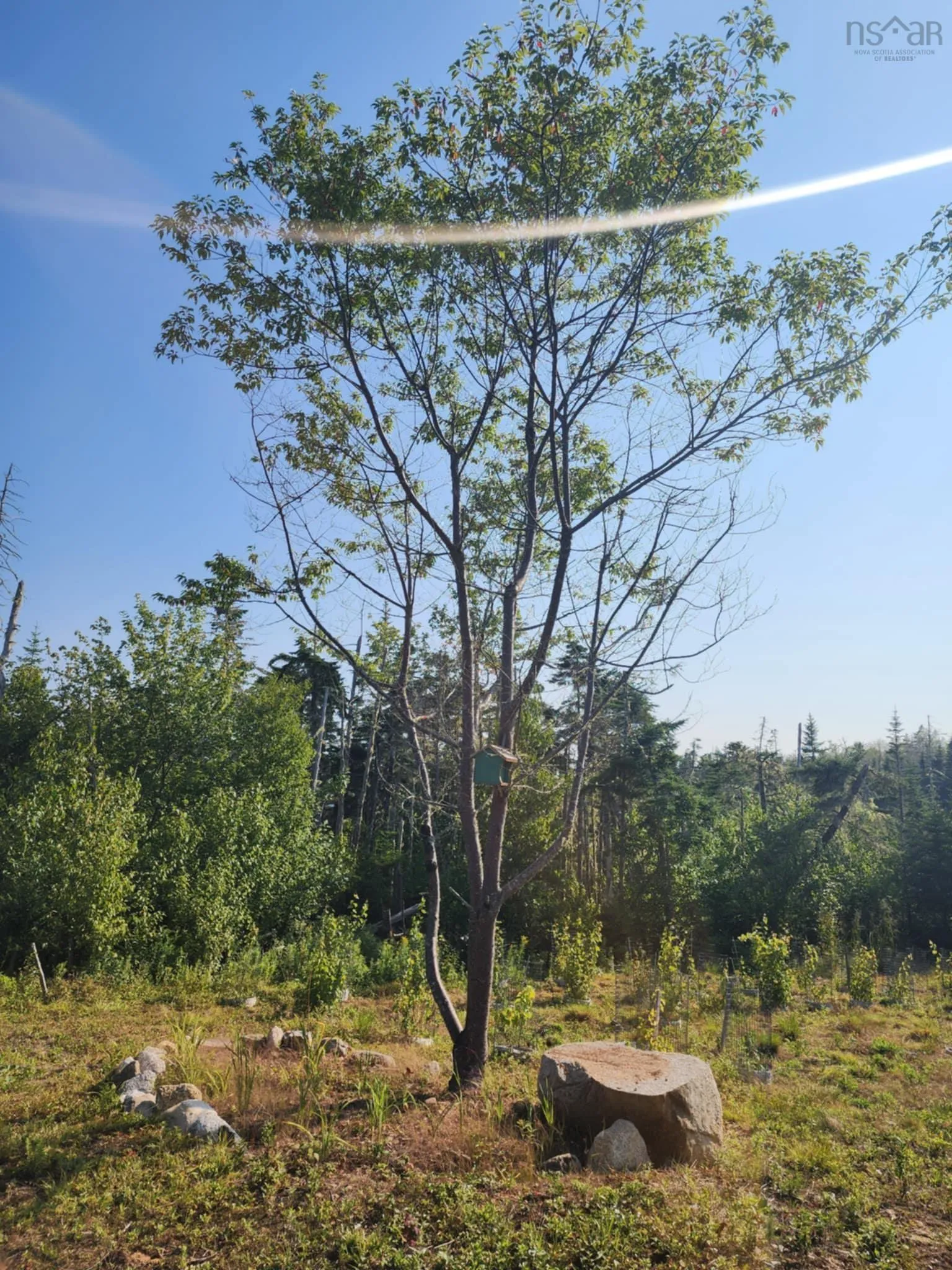 1056 Mines Road, West Petpeswick, NS B0J 2L0, ,Land,For Sale,Mines,202520475