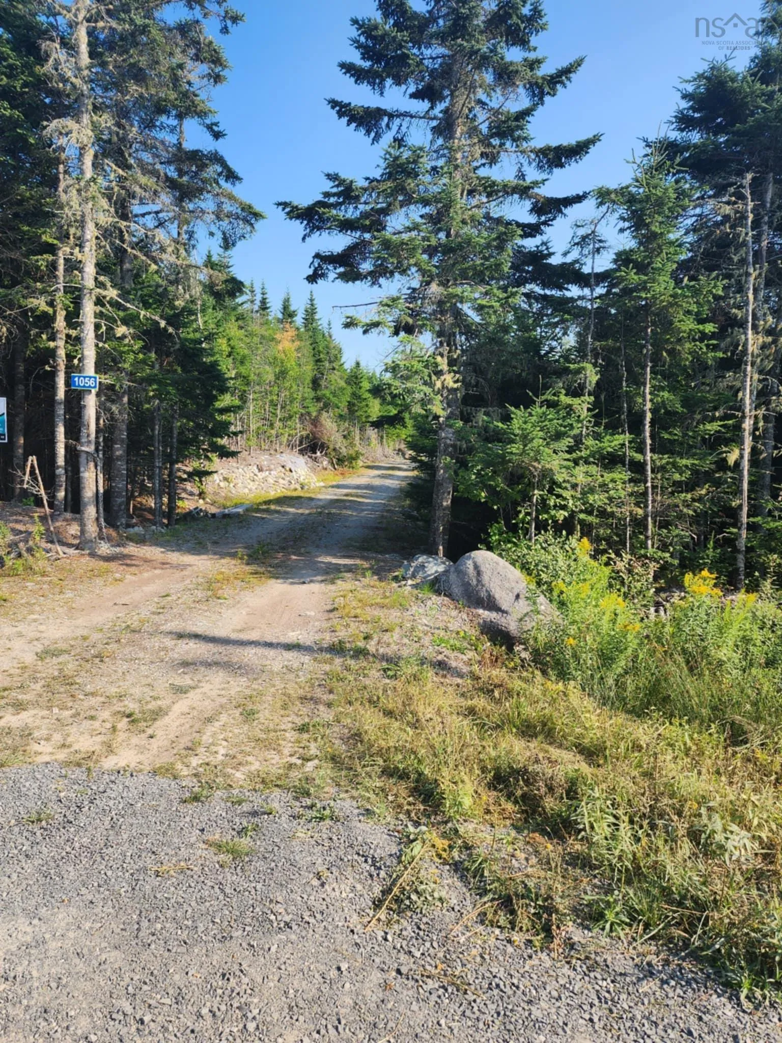 1056 Mines Road, West Petpeswick, NS B0J 2L0, ,Land,For Sale,Mines,202520475
