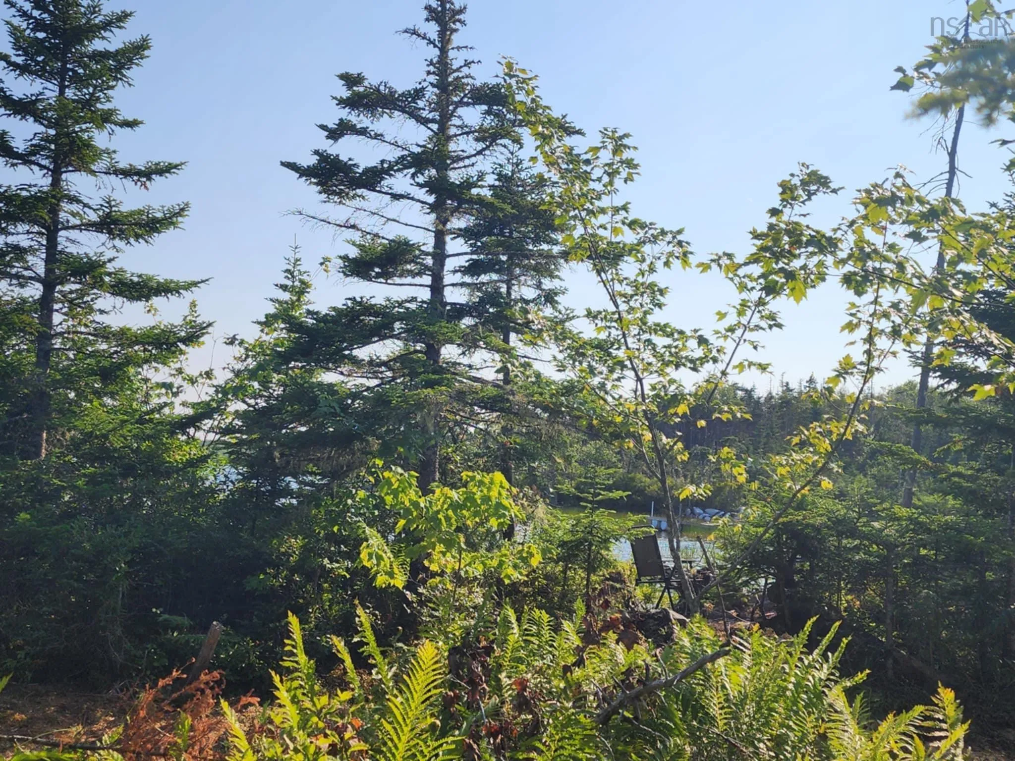 1056 Mines Road, West Petpeswick, NS B0J 2L0, ,Land,For Sale,Mines,202520475