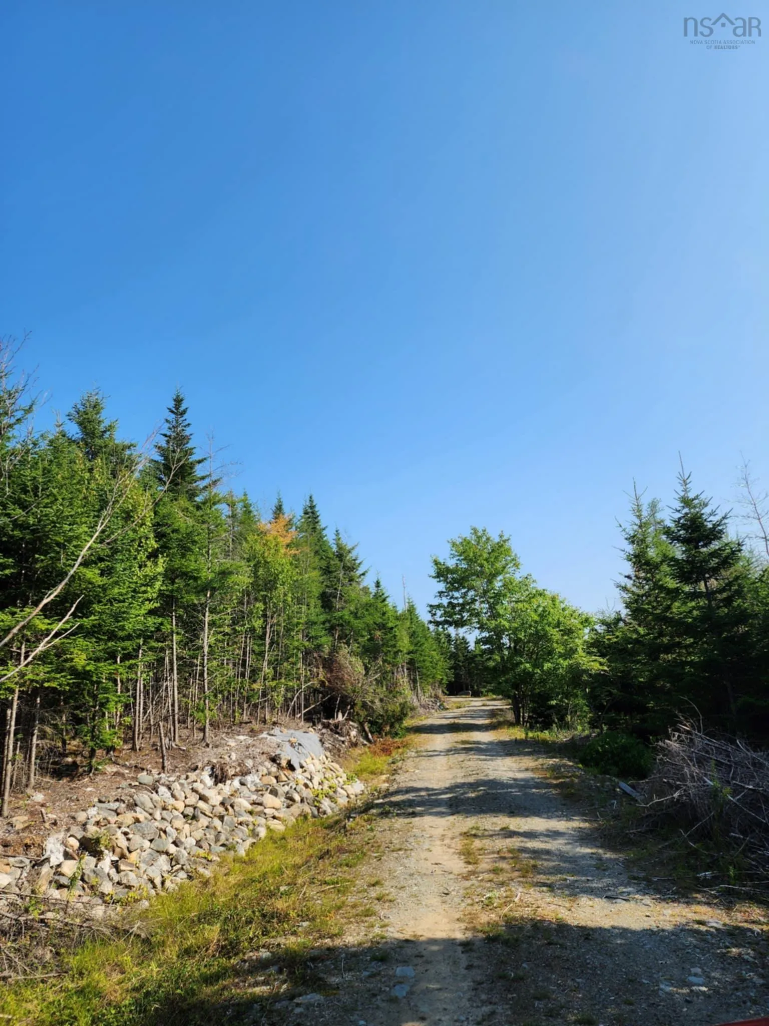 1056 Mines Road, West Petpeswick, NS B0J 2L0, ,Land,For Sale,Mines,202520475