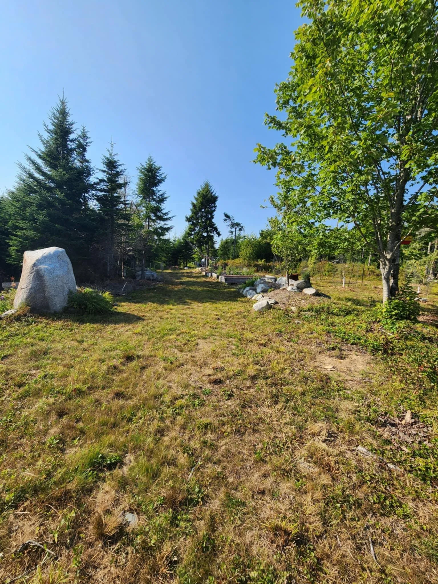 1056 Mines Road, West Petpeswick, NS B0J 2L0, ,Land,For Sale,Mines,202520475