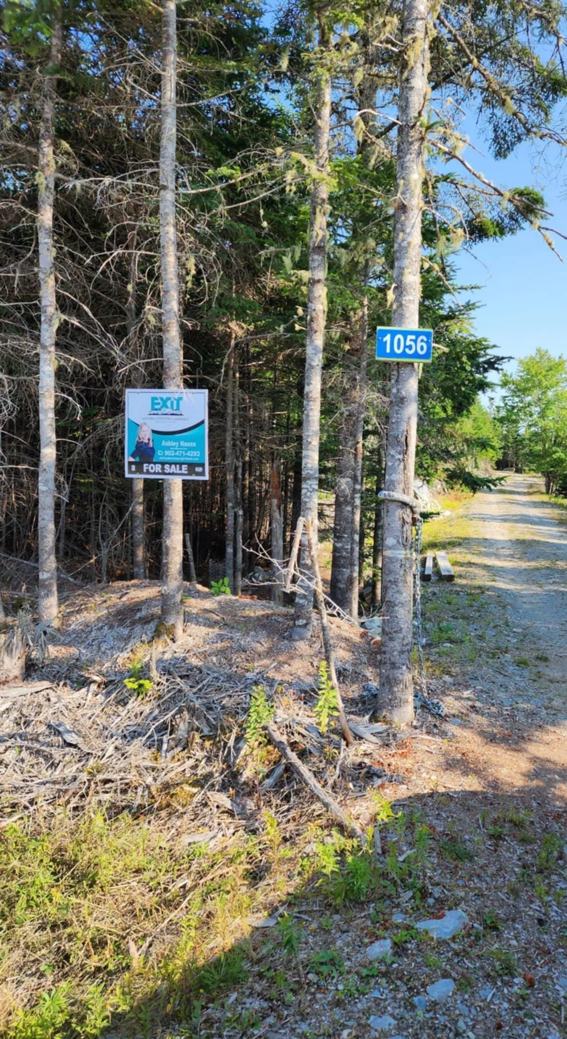 1056 Mines Road, West Petpeswick, NS B0J 2L0, ,Land,For Sale,Mines,202520475