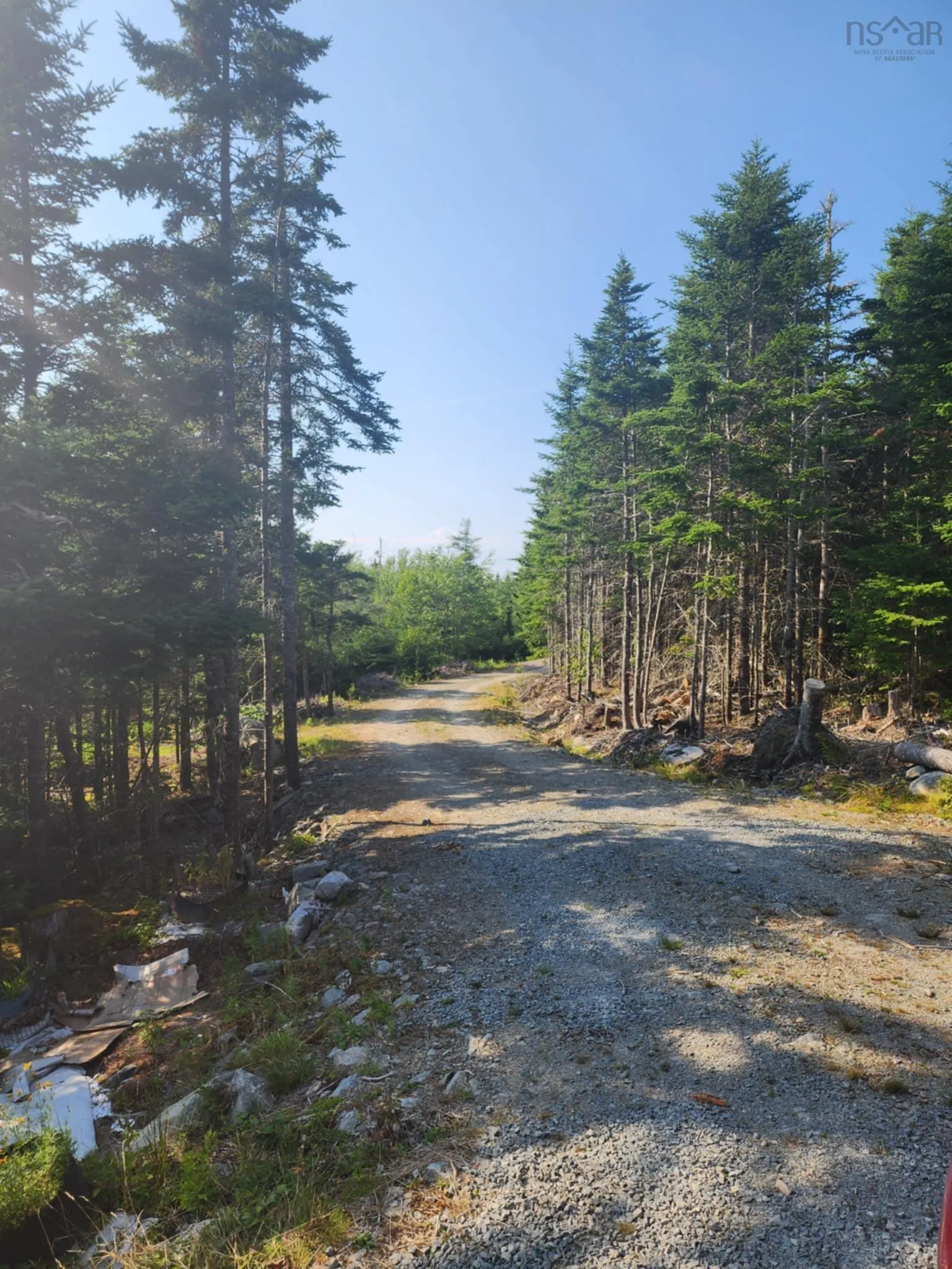 1056 Mines Road, West Petpeswick, NS B0J 2L0, ,Land,For Sale,Mines,202520475