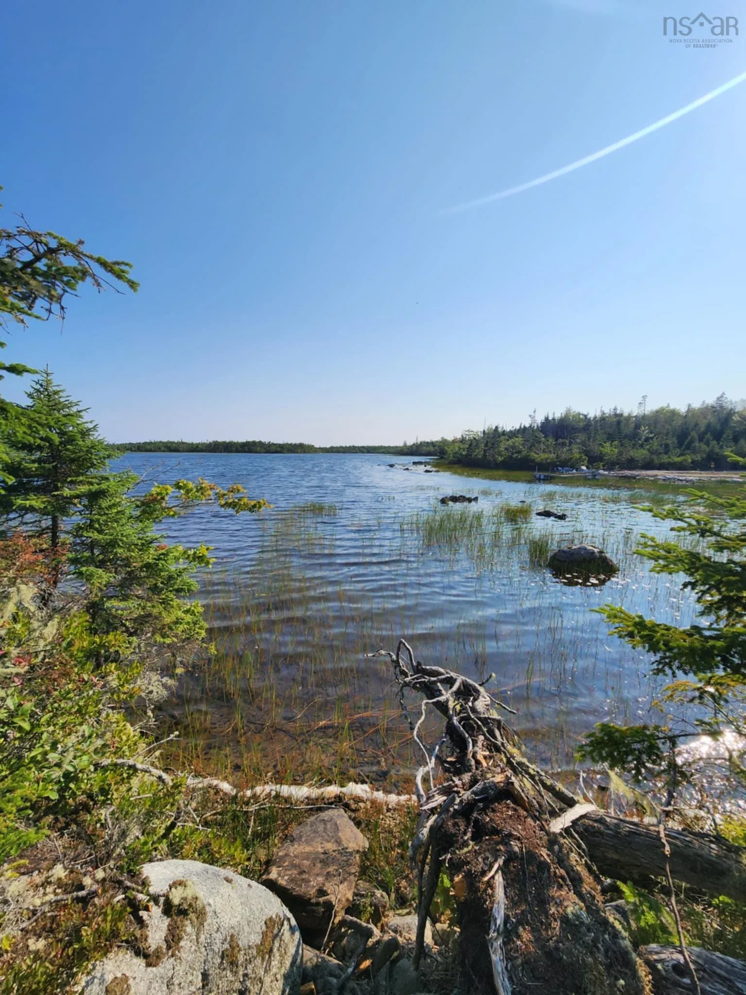 1056 Mines Road, West Petpeswick, NS B0J 2L0, ,Land,For Sale,Mines,202520475