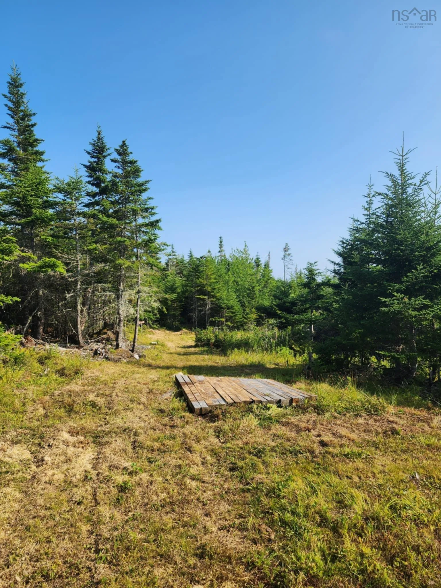 1056 Mines Road, West Petpeswick, NS B0J 2L0, ,Land,For Sale,Mines,202520475