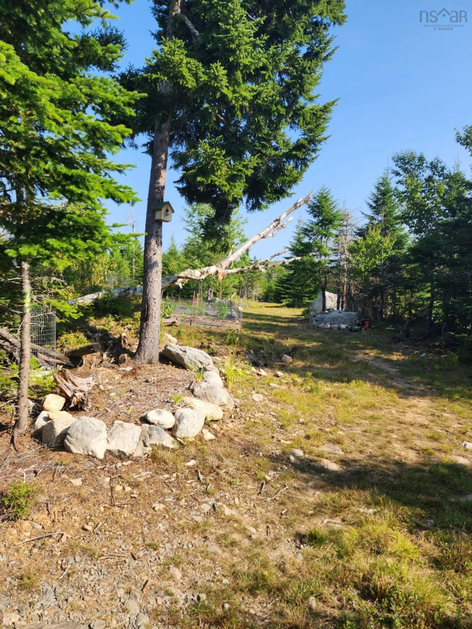 1056 Mines Road, West Petpeswick, NS B0J 2L0, ,Land,For Sale,Mines,202520475