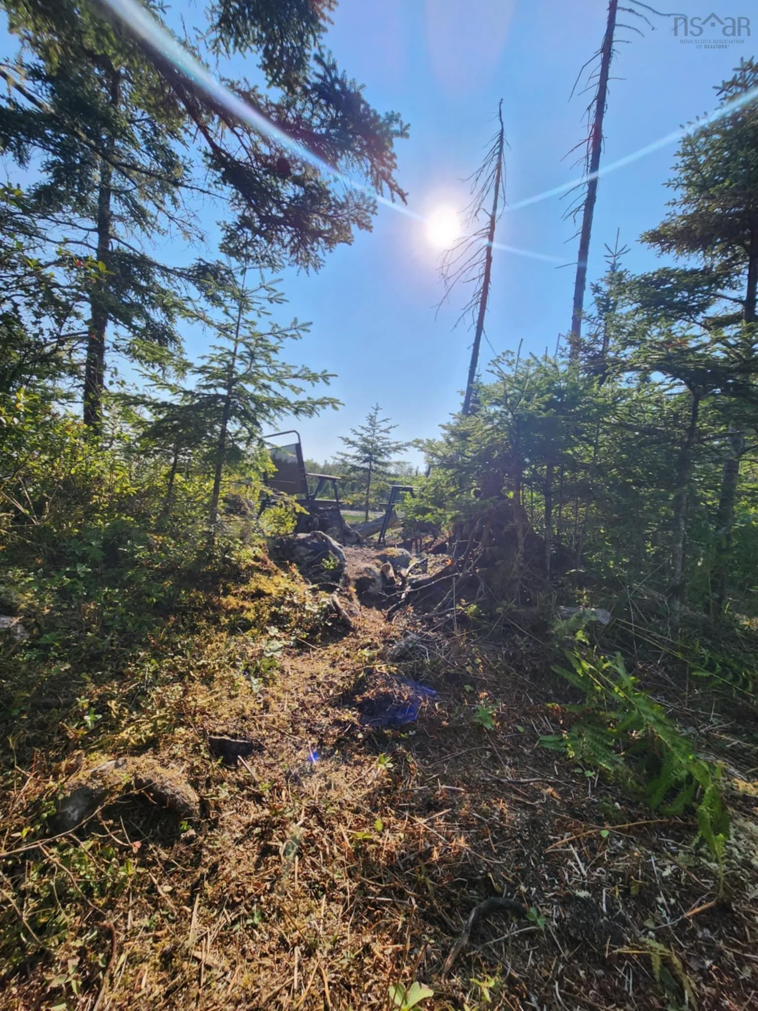 1056 Mines Road, West Petpeswick, NS B0J 2L0, ,Land,For Sale,Mines,202520475
