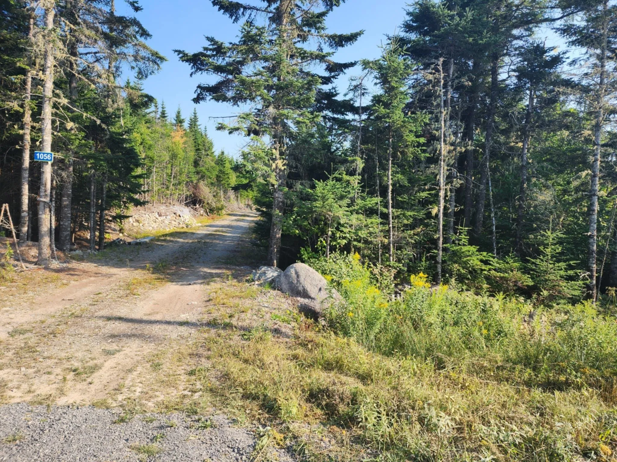 1056 Mines Road, West Petpeswick, NS B0J 2L0, ,Land,For Sale,Mines,202520475