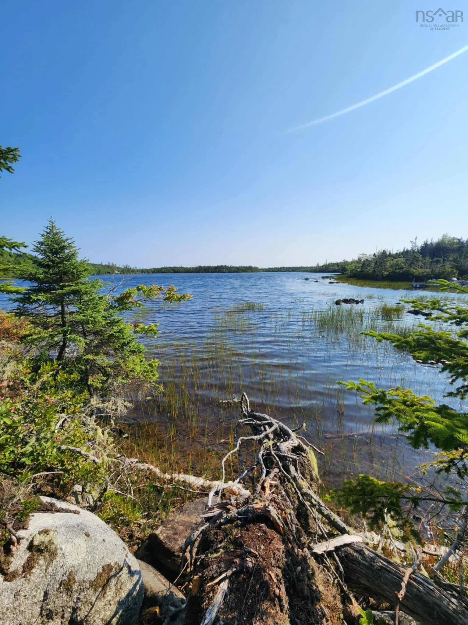 1056 Mines Road, West Petpeswick, NS B0J 2L0, ,Land,For Sale,Mines,202520475
