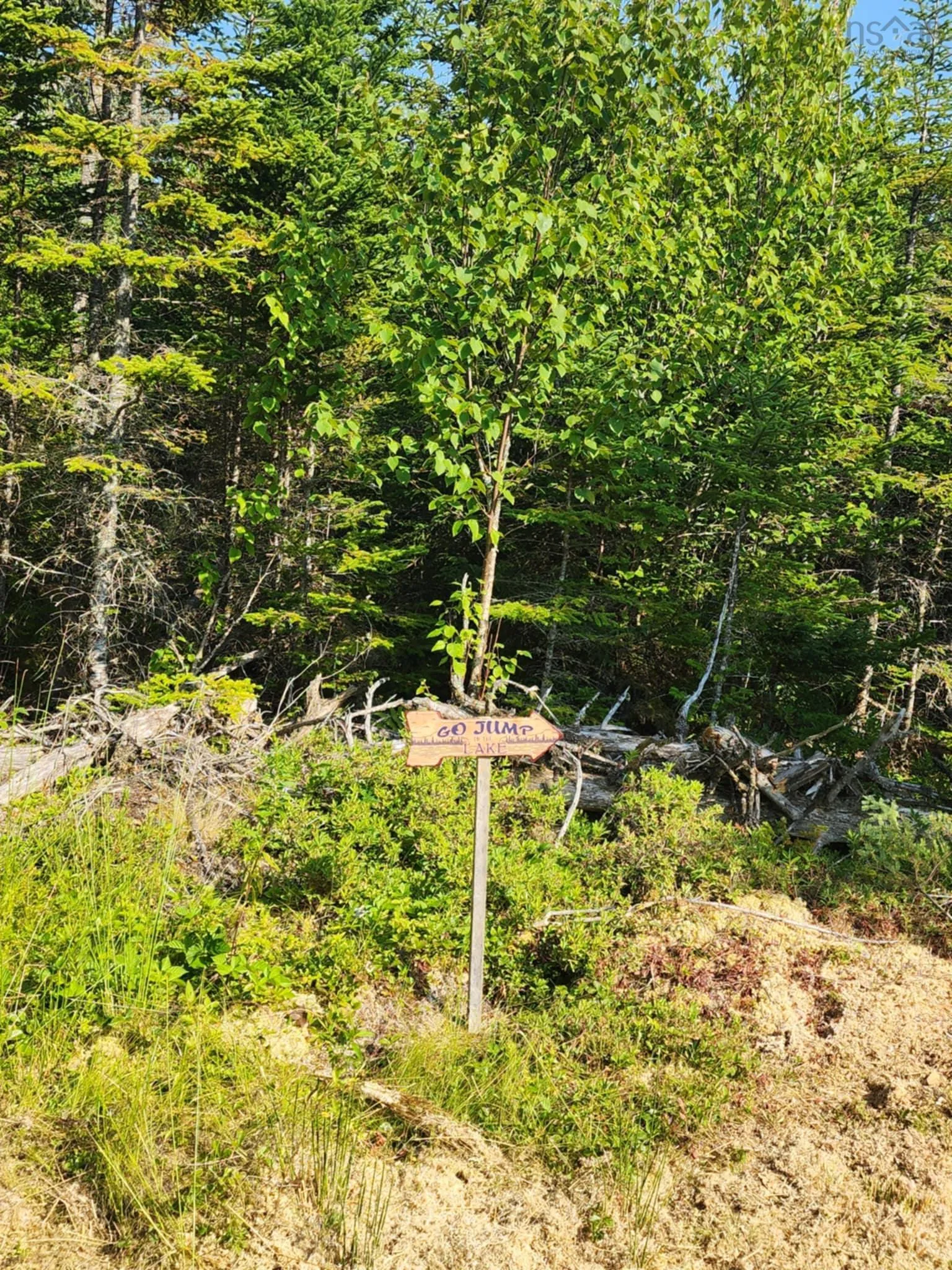 1056 Mines Road, West Petpeswick, NS B0J 2L0, ,Land,For Sale,Mines,202520475