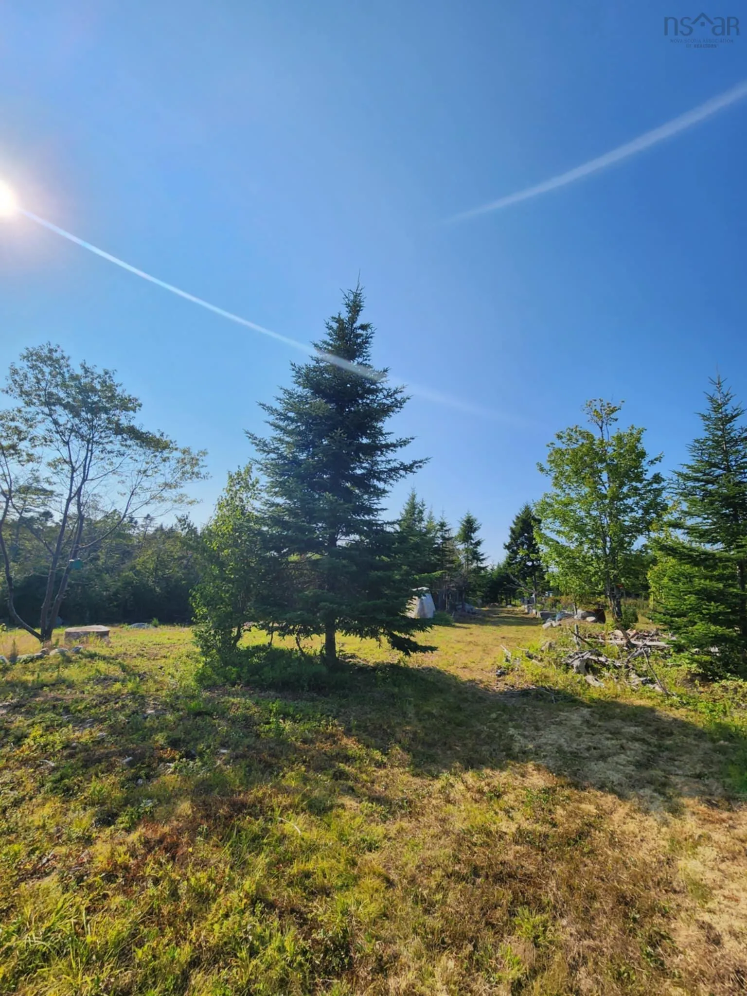 1056 Mines Road, West Petpeswick, NS B0J 2L0, ,Land,For Sale,Mines,202520475