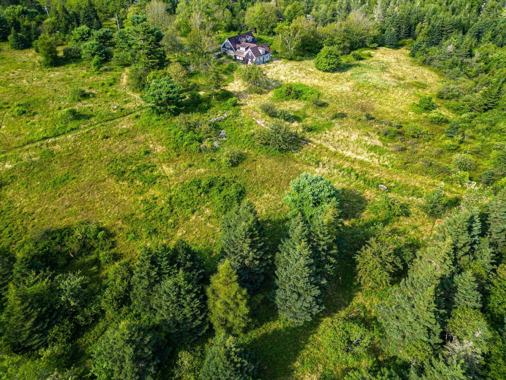 43 Stevens Road, East Green Harbour, NS B0T 1L0, 5 Bedrooms Bedrooms, ,4 BathroomsBathrooms,Residential,For Sale,Stevens,202511900