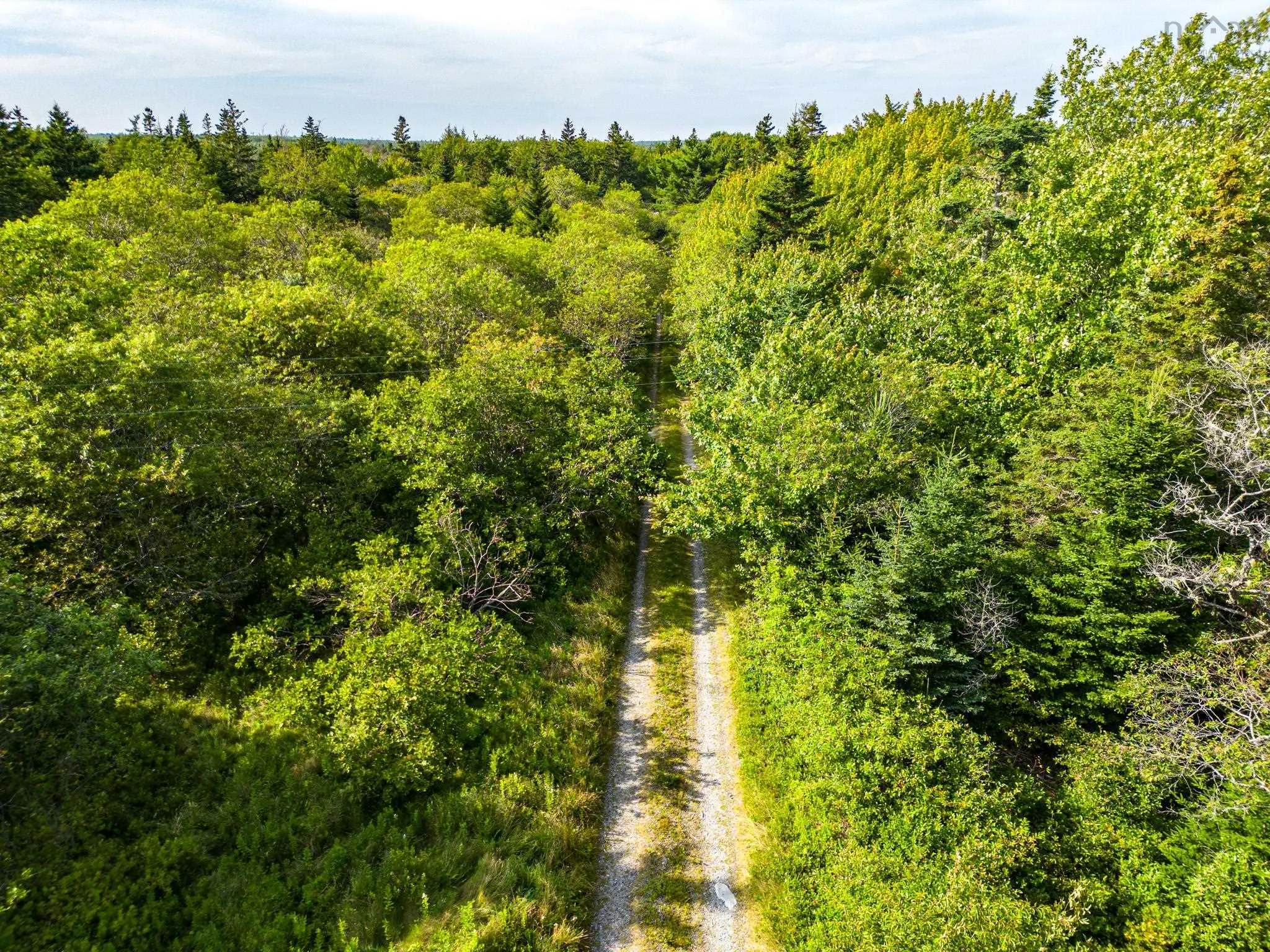 43 Stevens Road, East Green Harbour, NS B0T 1L0, 5 Bedrooms Bedrooms, ,4 BathroomsBathrooms,Residential,For Sale,Stevens,202511900