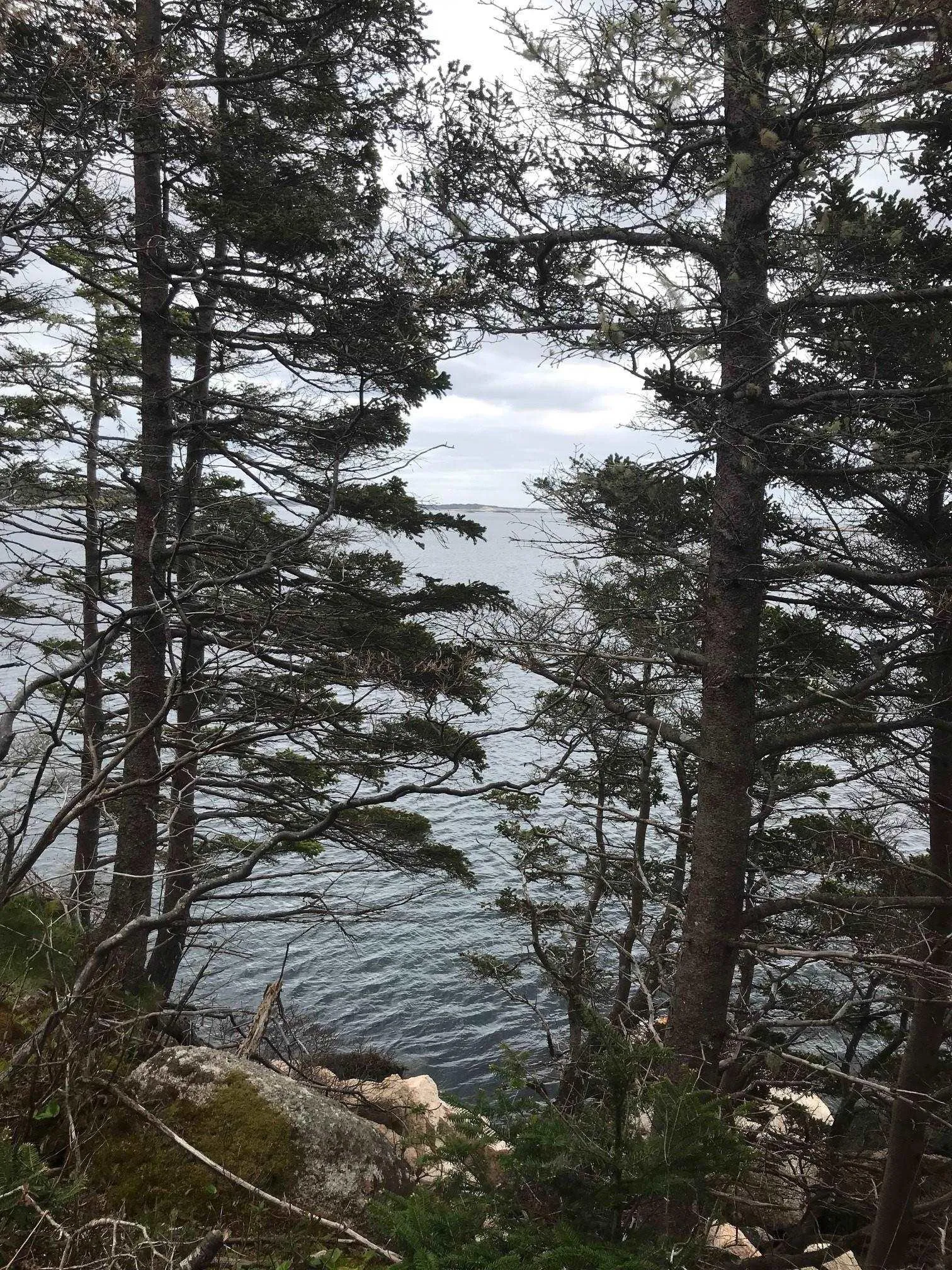 1614 + 1618 Terence Bay Road, Terence Bay, NS B3T 1X8, ,Land,For Sale,Terence Bay,202519503