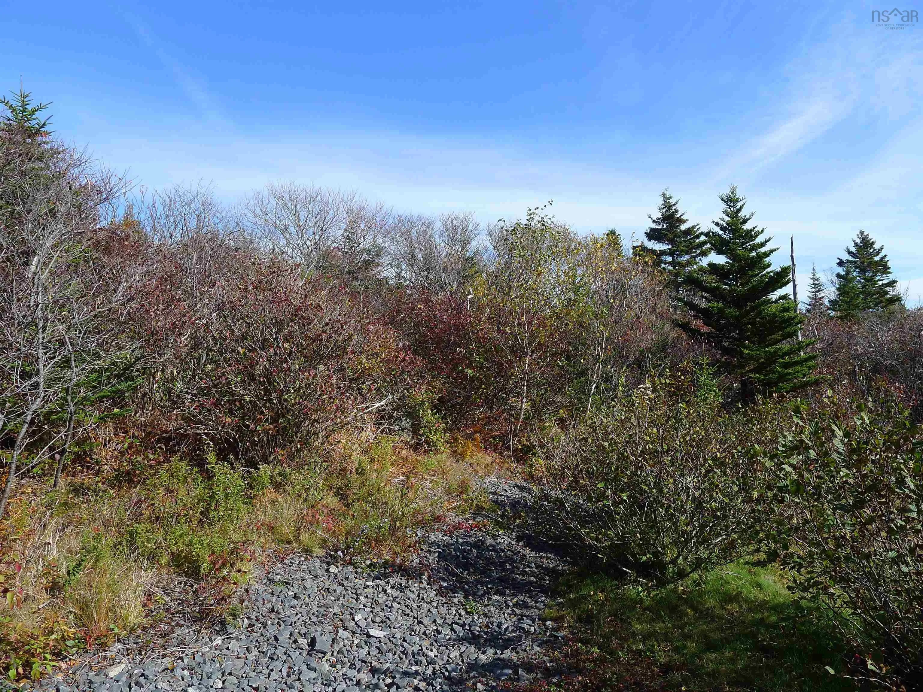 1614 + 1618 Terence Bay Road, Terence Bay, NS B3T 1X8, ,Land,For Sale,Terence Bay,202519503