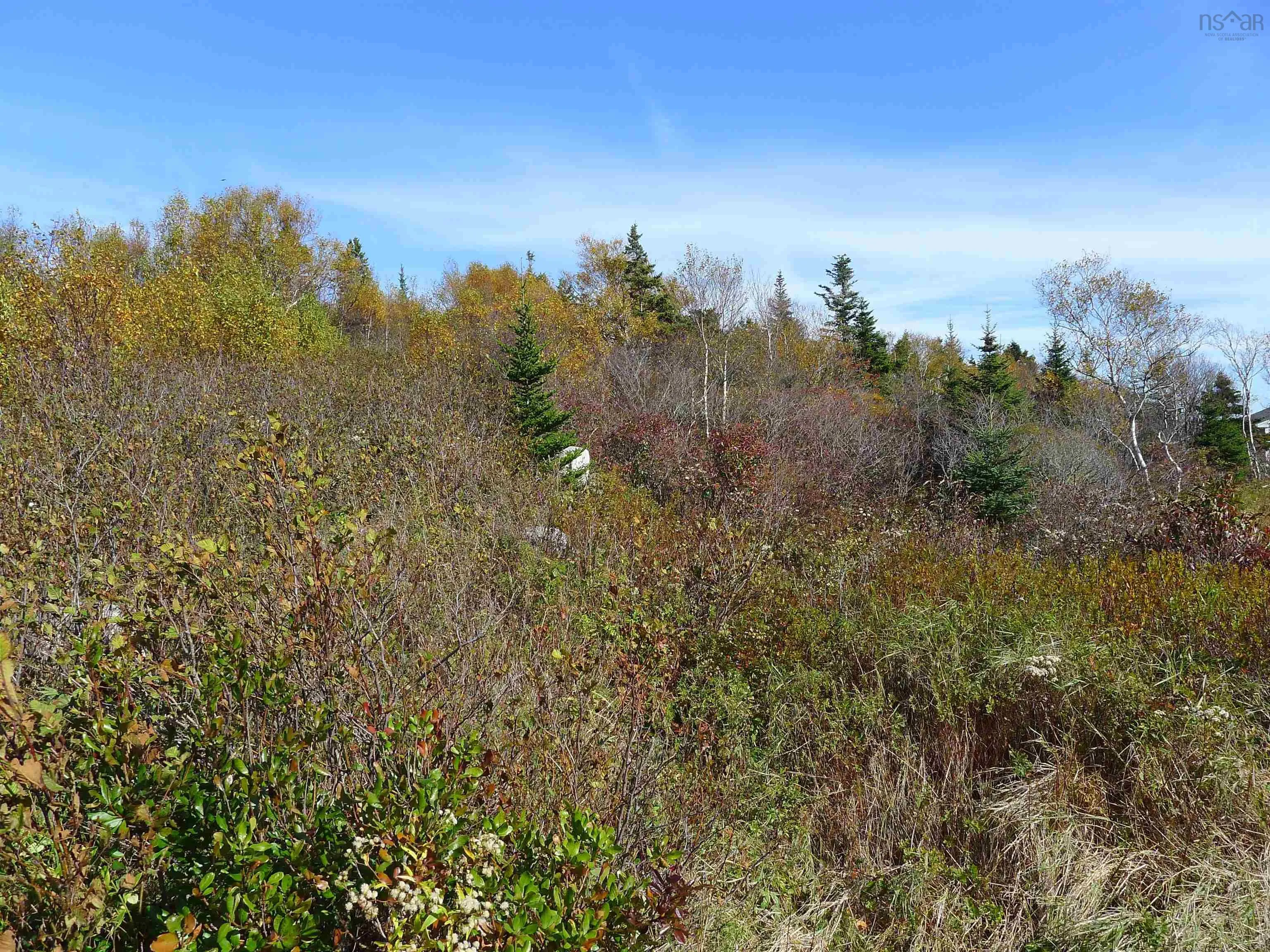 1614 + 1618 Terence Bay Road, Terence Bay, NS B3T 1X8, ,Land,For Sale,Terence Bay,202519503