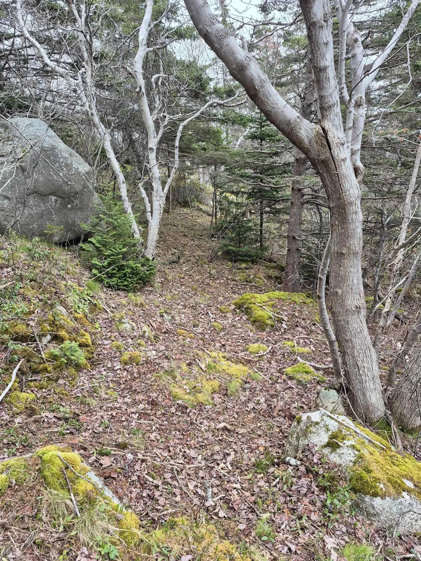 1614 + 1618 Terence Bay Road, Terence Bay, NS B3T 1X8, ,Land,For Sale,Terence Bay,202519503