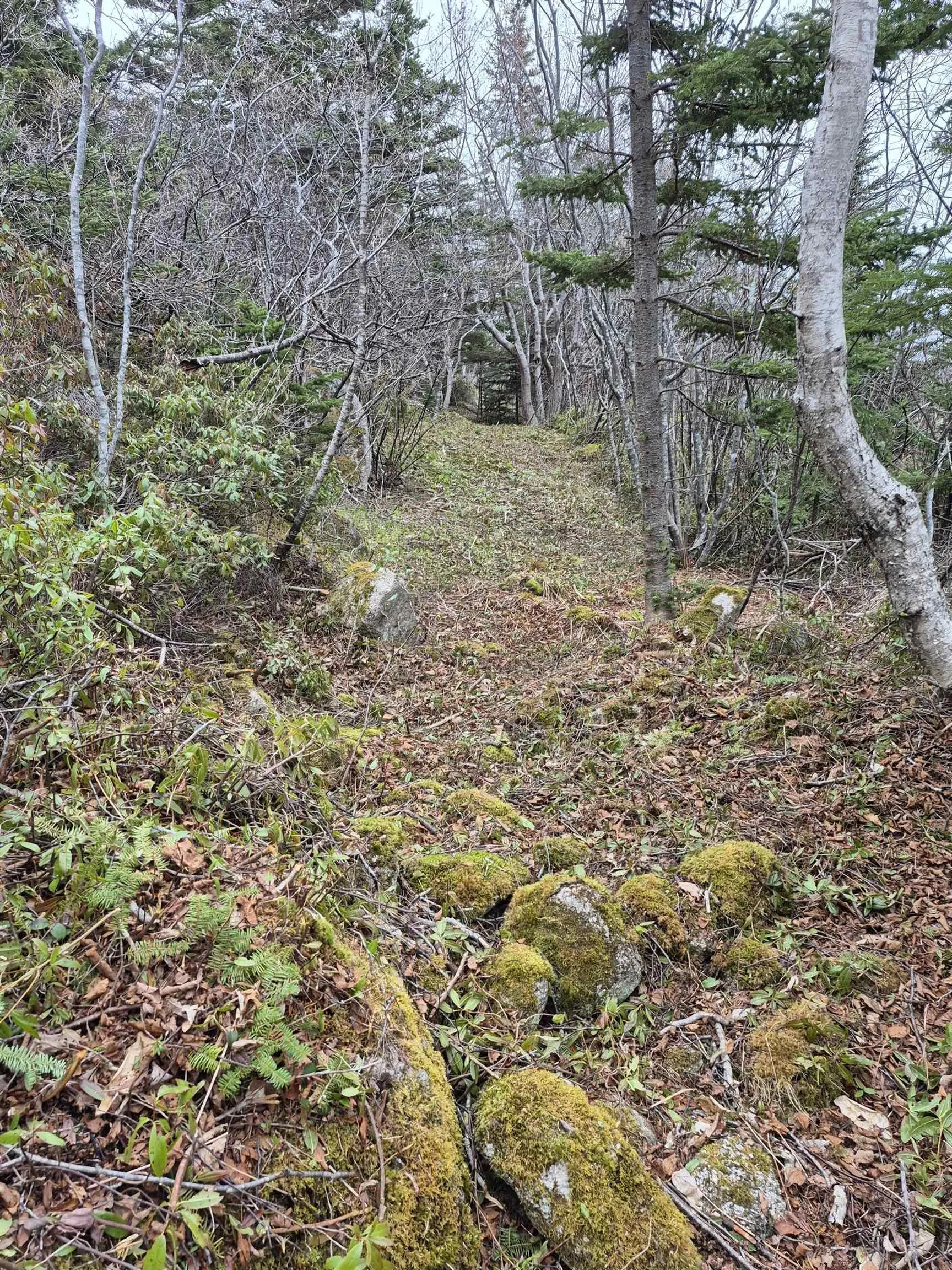 1614 + 1618 Terence Bay Road, Terence Bay, NS B3T 1X8, ,Land,For Sale,Terence Bay,202519503
