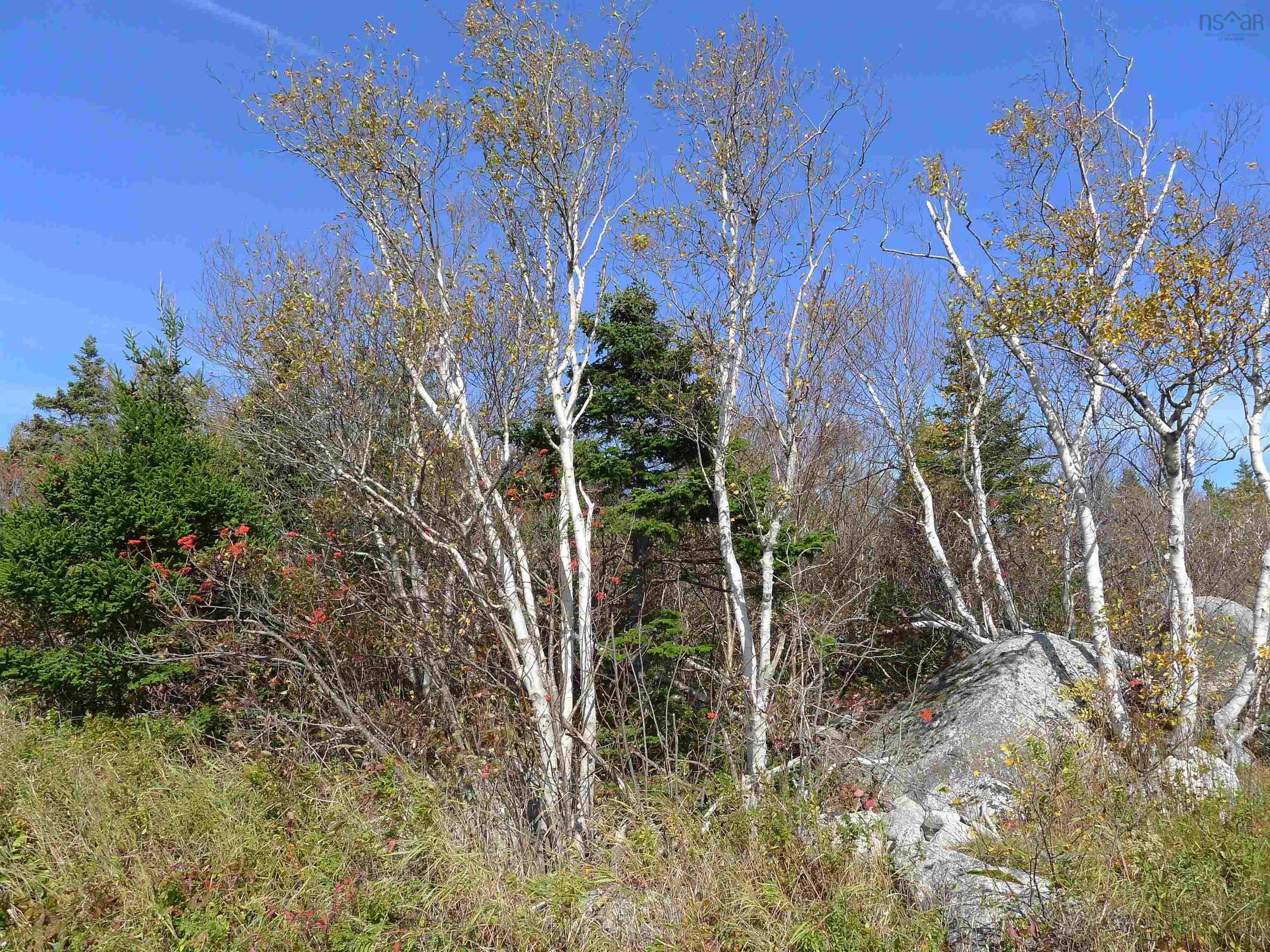 1614 + 1618 Terence Bay Road, Terence Bay, NS B3T 1X8, ,Land,For Sale,Terence Bay,202519503
