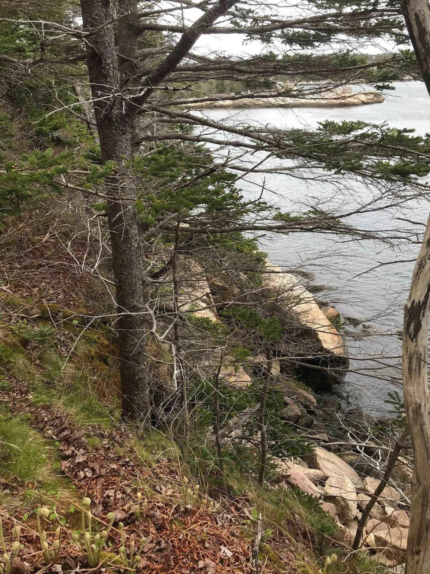 1614 + 1618 Terence Bay Road, Terence Bay, NS B3T 1X8, ,Land,For Sale,Terence Bay,202519503