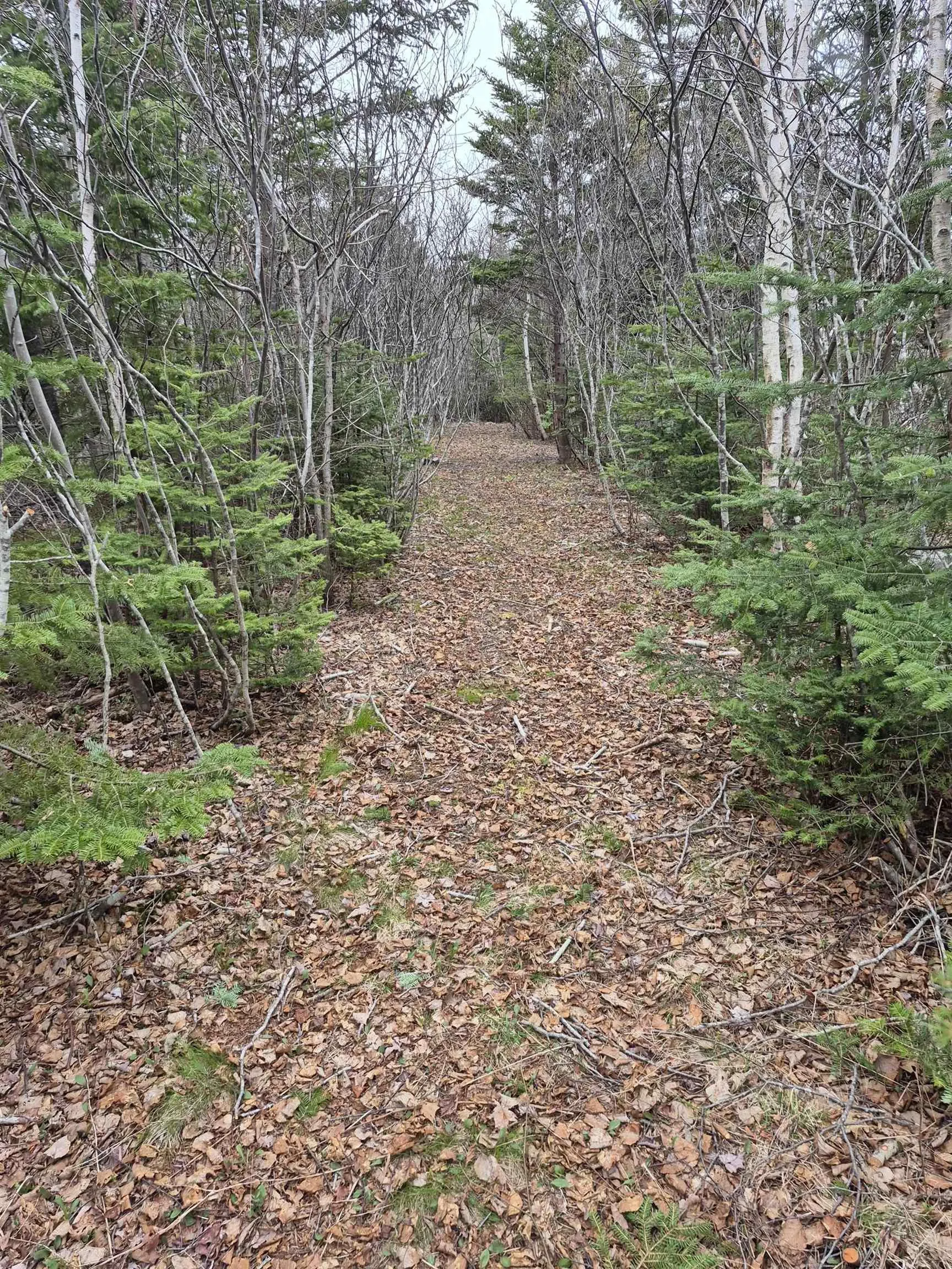 1614 + 1618 Terence Bay Road, Terence Bay, NS B3T 1X8, ,Land,For Sale,Terence Bay,202519503