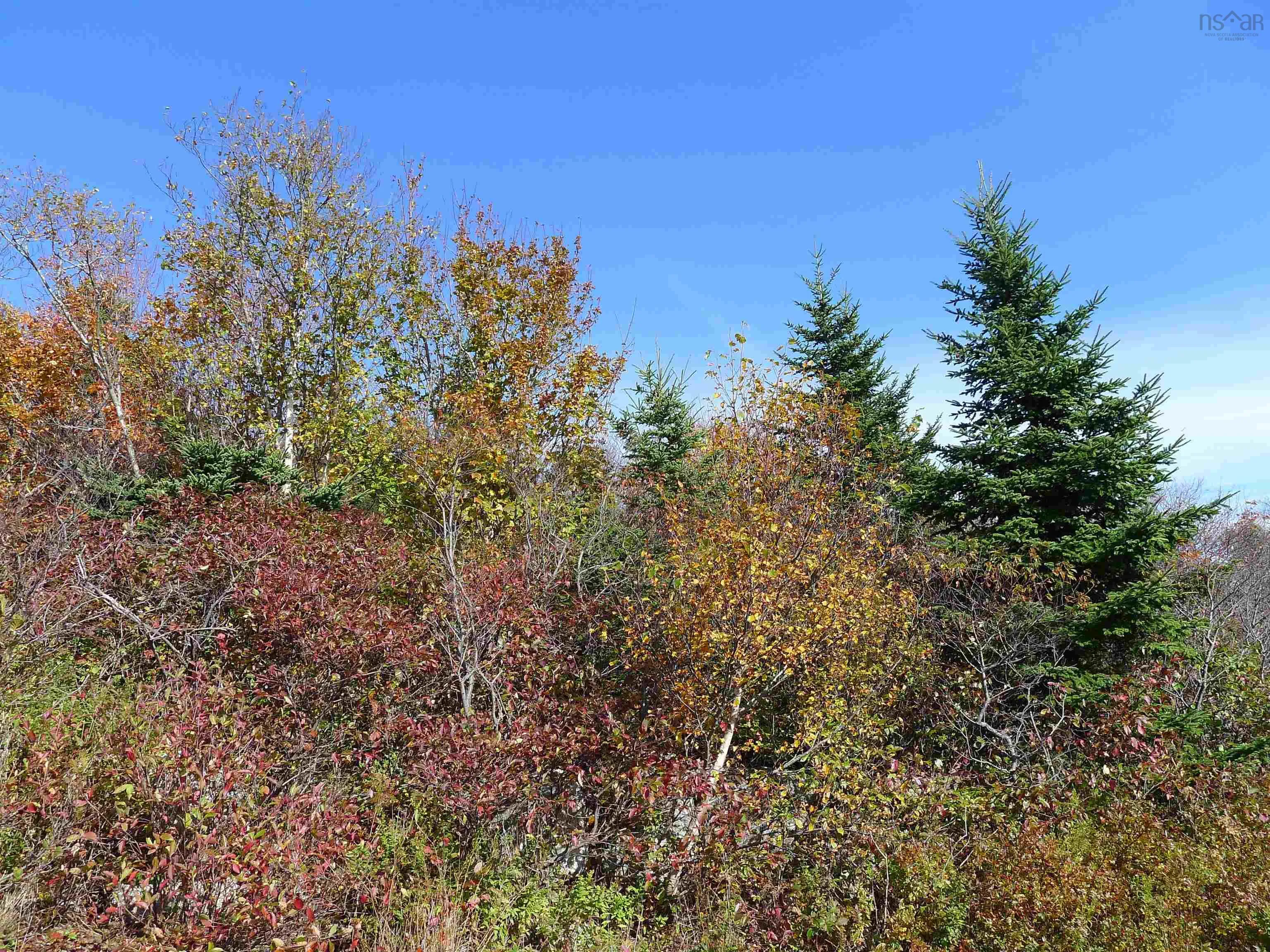 1614 + 1618 Terence Bay Road, Terence Bay, NS B3T 1X8, ,Land,For Sale,Terence Bay,202519503