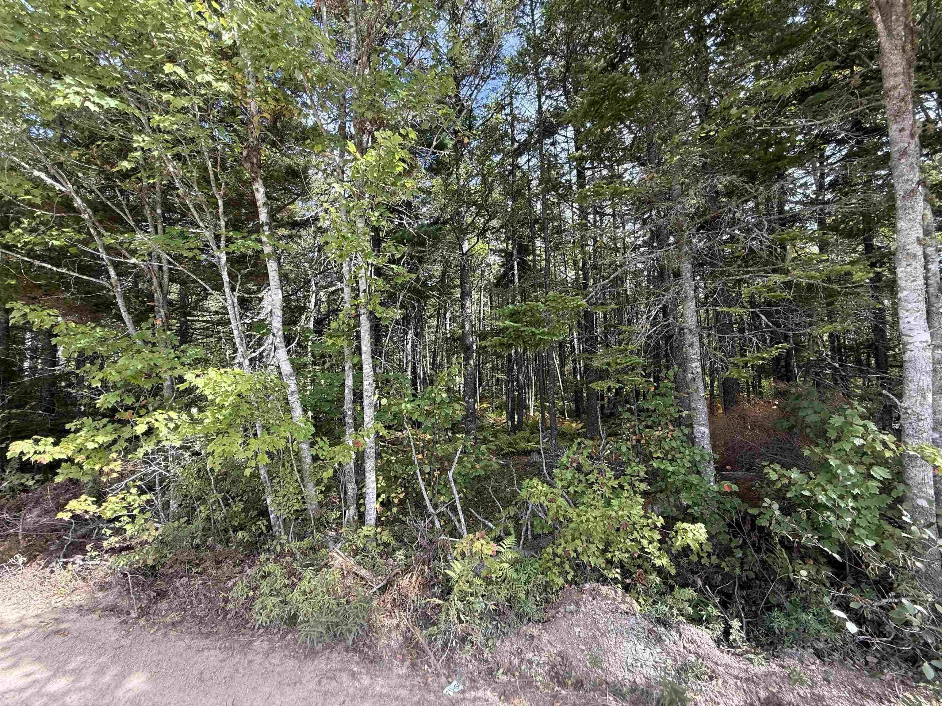 Lot 7 Black Duck Lake Road, East Dalhousie, NS B0R 1H0, ,Land,For Sale,Black Duck Lake,202523435