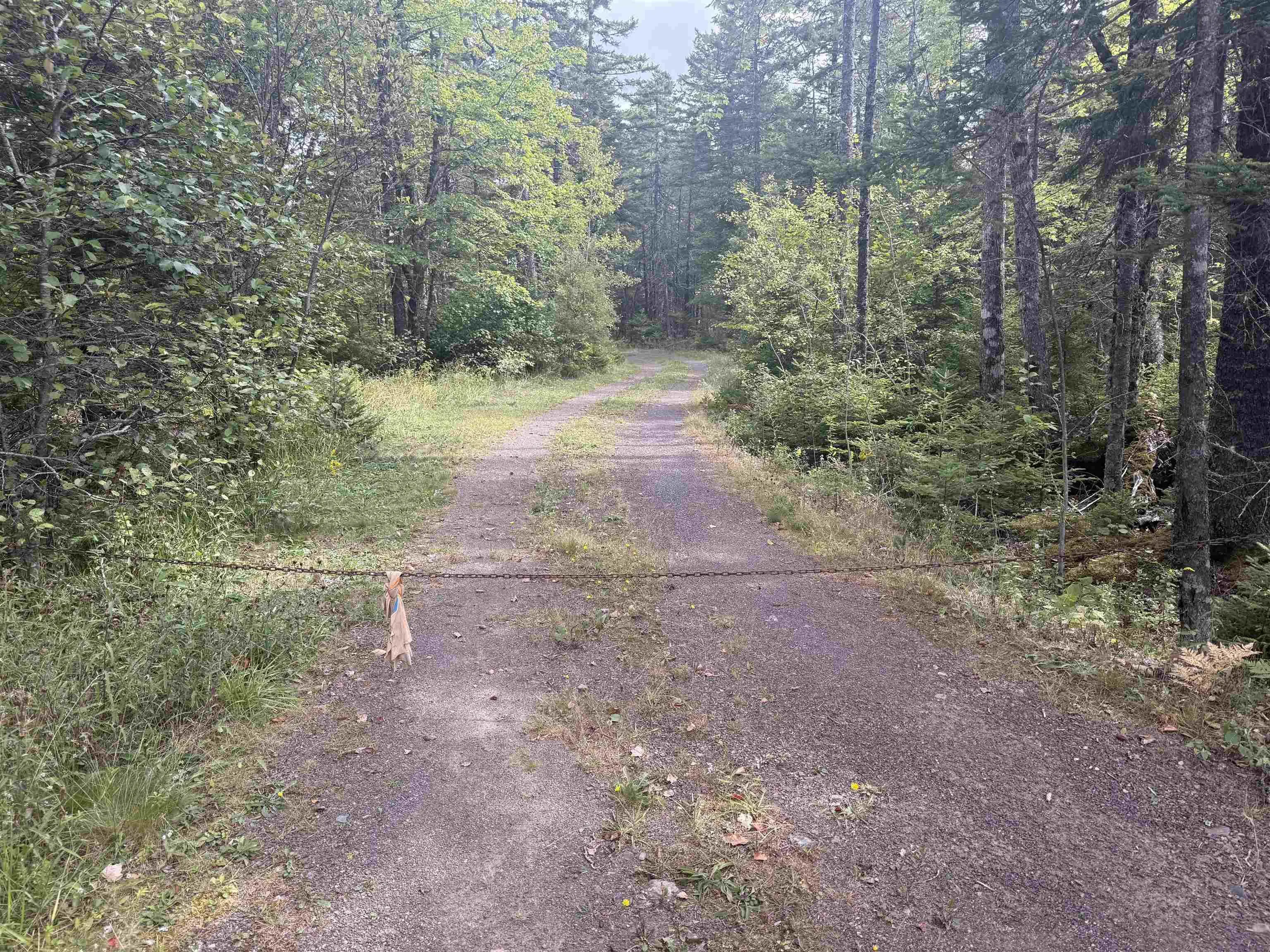 Lot 7 Black Duck Lake Road, East Dalhousie, NS B0R 1H0, ,Land,For Sale,Black Duck Lake,202523435