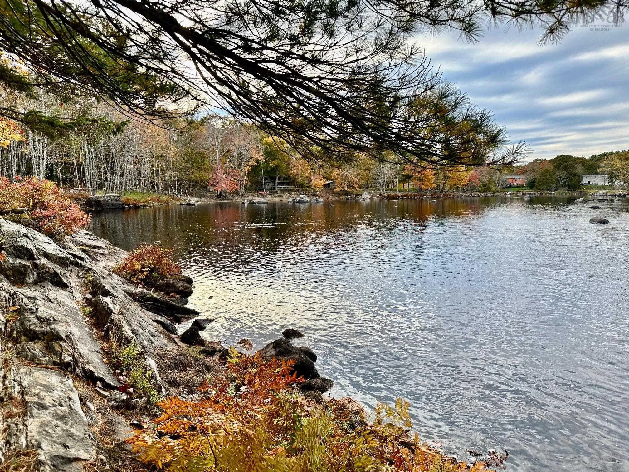 Mill Village East Road, Charleston, NS B0J 2H0, ,Land,For Sale,Mill Village East,202520463