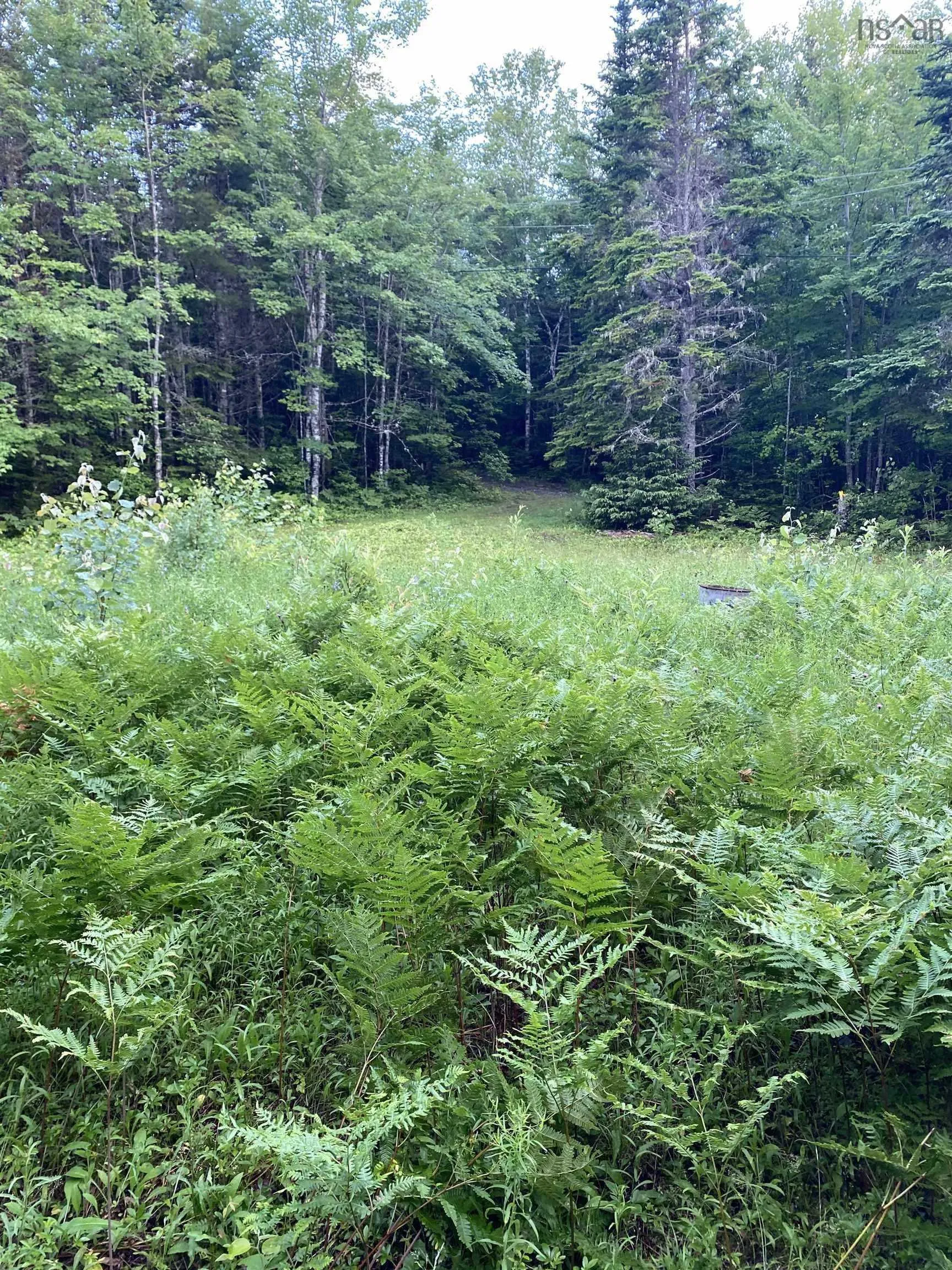 Lot 9 Pigott Lake Road, Lakelands Ns B0n 1z0, ,Land,For Sale,Pigott Lake,202500846