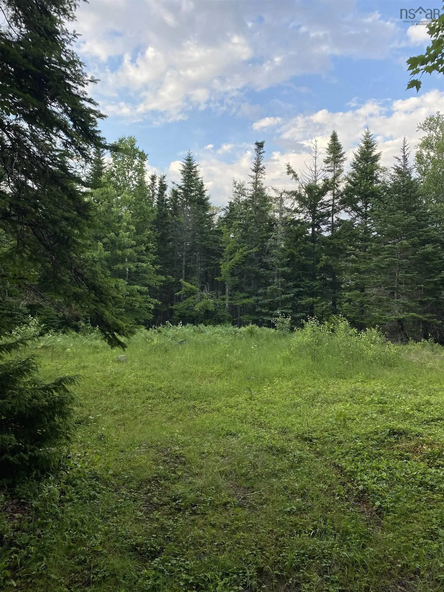 Lot 9 Pigott Lake Road, Lakelands Ns B0n 1z0, ,Land,For Sale,Pigott Lake,202500846