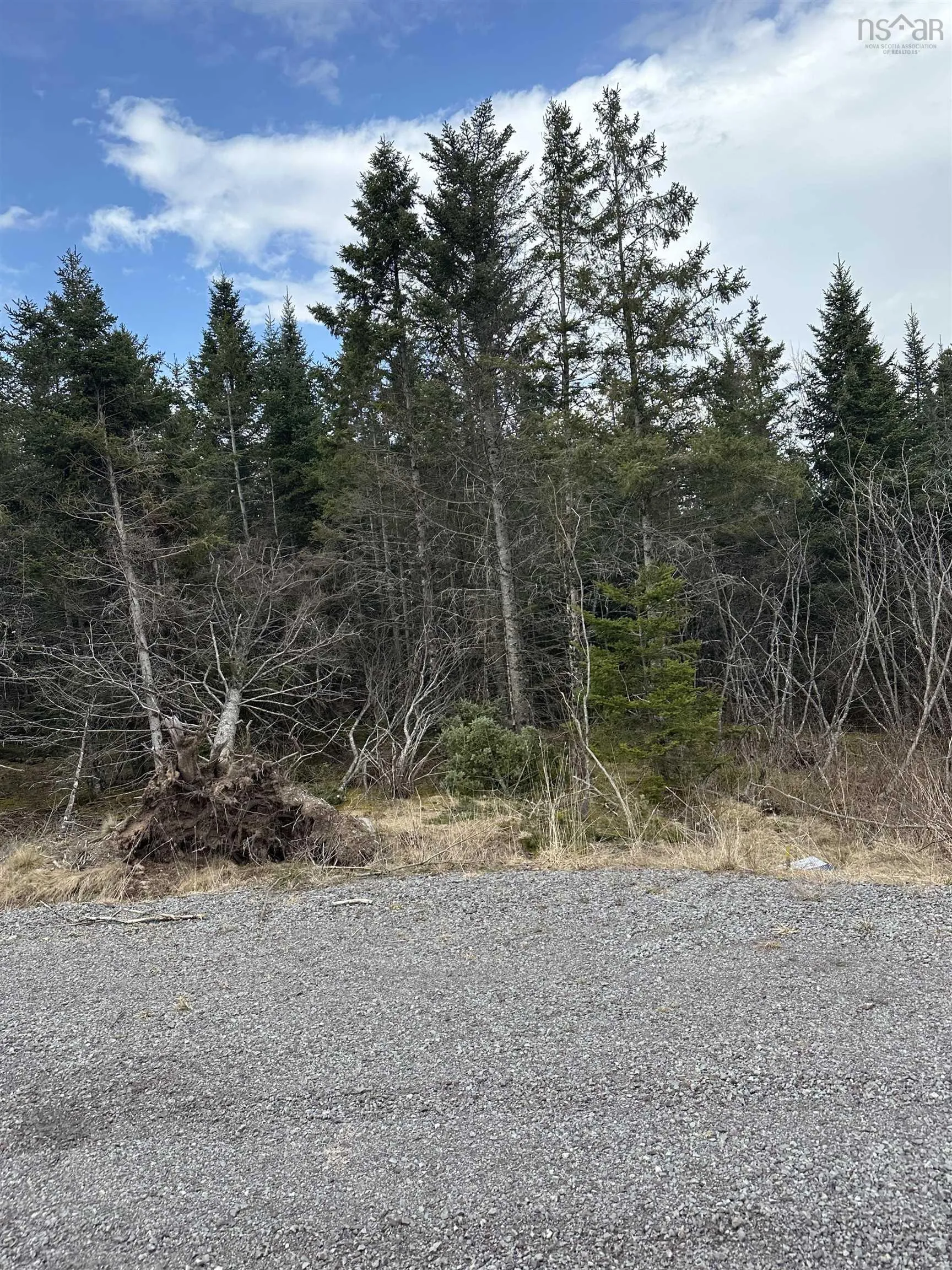 Mary Cecelia Ridge, St Andrew's Ns B0h 1p0, ,Land,For Sale,Mary Cecelia Ridge,202505596