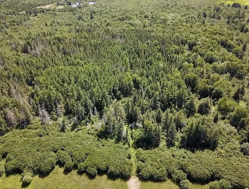 Strathlorne-scotsville Road, Kenloch Ns B0e 1n0, ,Land,For Sale,Strathlorne-Scotsville,202509510