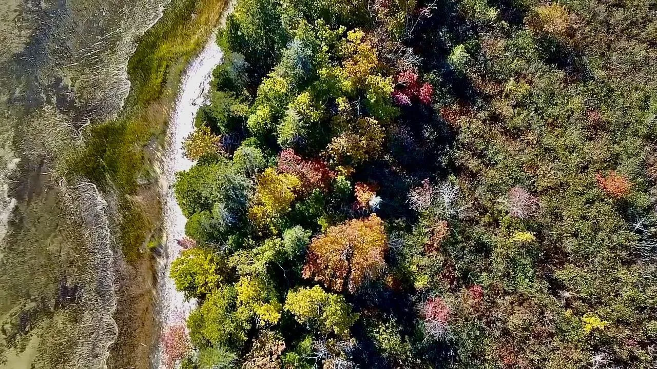 Strathlorne-scotsville Road, Kenloch Ns B0e 1n0, ,Land,For Sale,Strathlorne-Scotsville,202509510