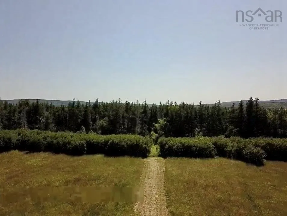 Strathlorne-scotsville Road, Kenloch Ns B0e 1n0, ,Land,For Sale,Strathlorne-Scotsville,202509510