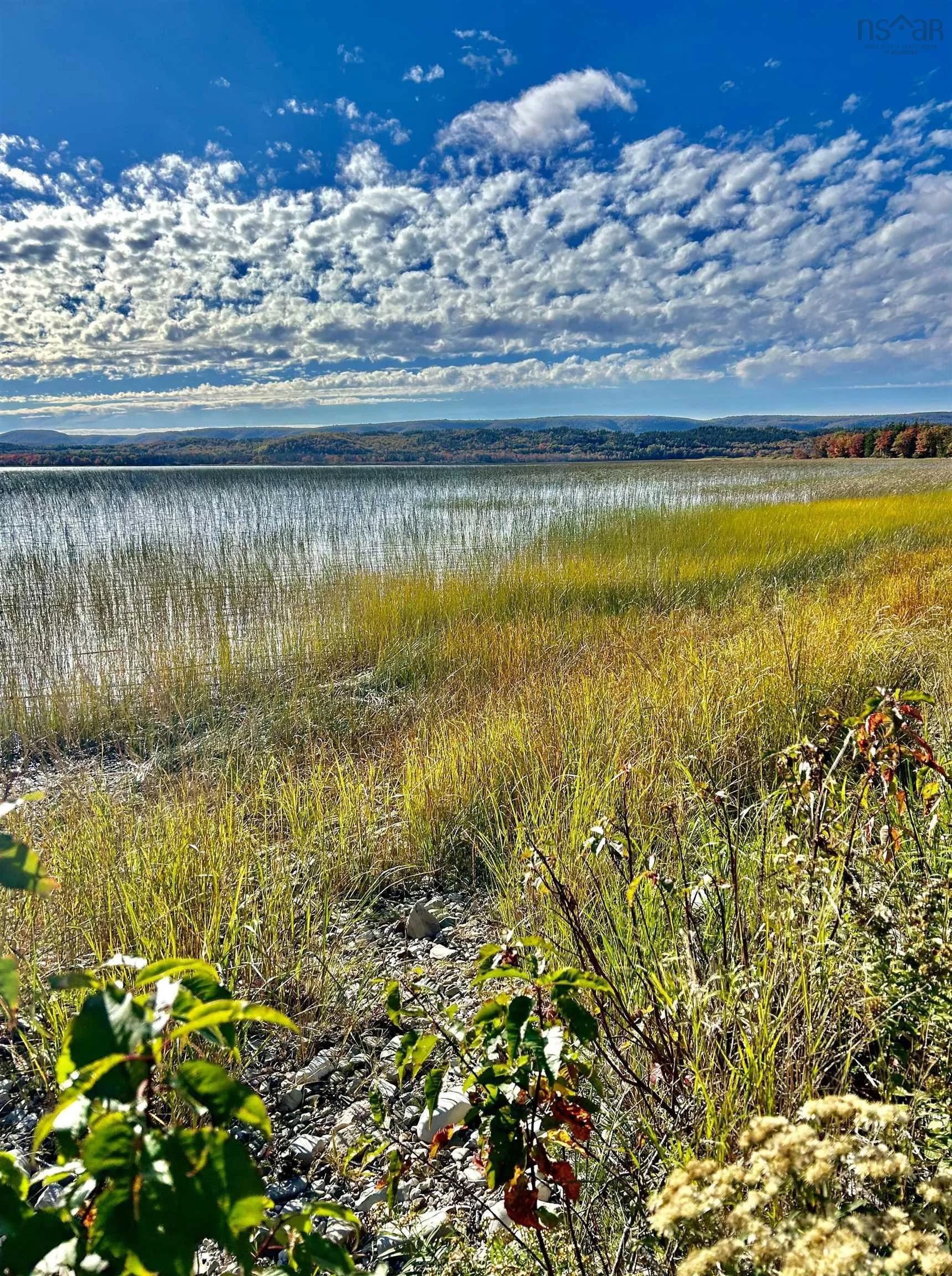 Strathlorne-scotsville Road, Kenloch Ns B0e 1n0, ,Land,For Sale,Strathlorne-Scotsville,202509510