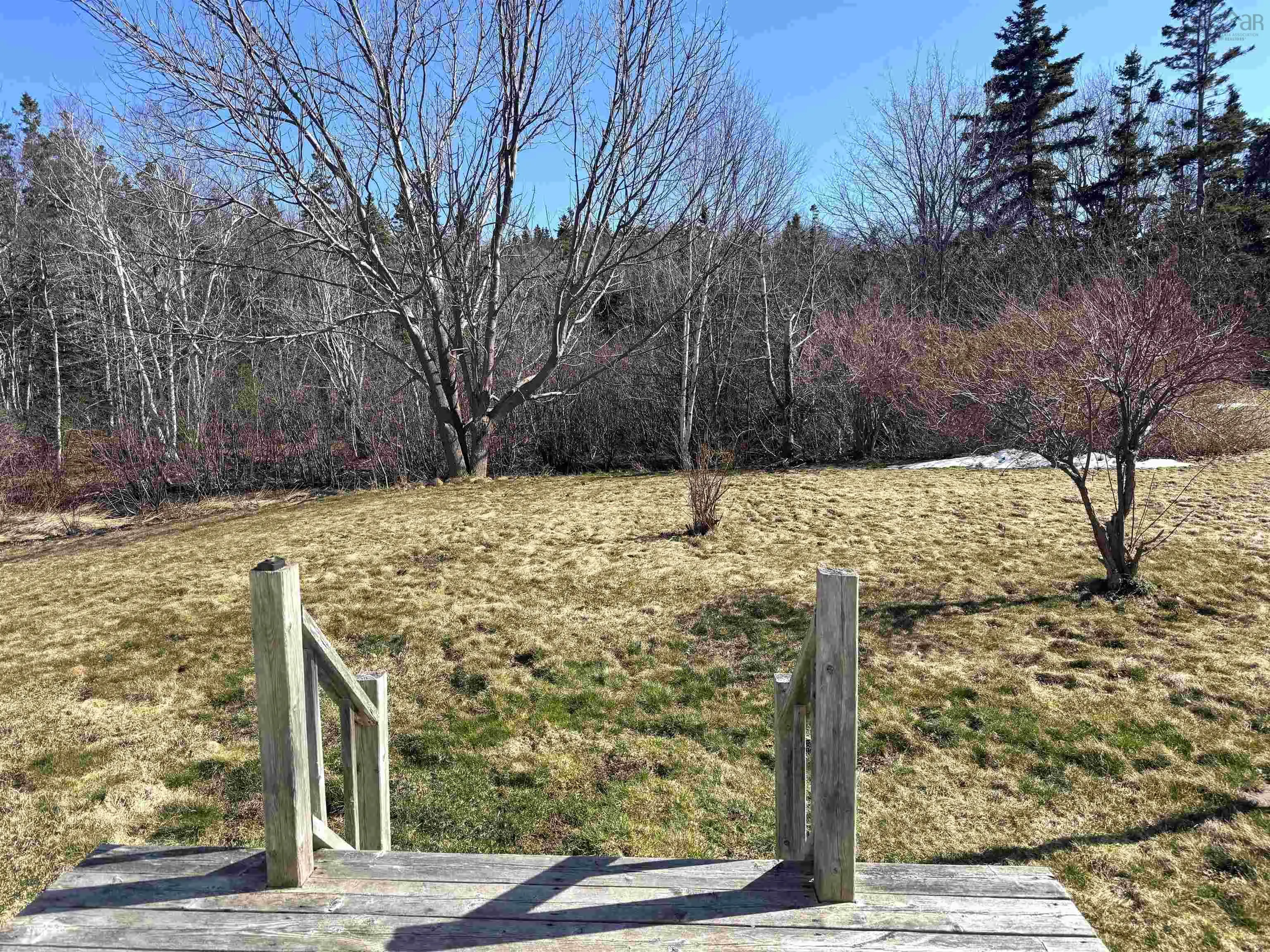 568 Dingwall Road, Dingwall Ns B0c 1g0, 2 Bedrooms Bedrooms, ,1 BathroomBathrooms,Residential,For Sale,Dingwall,202508326