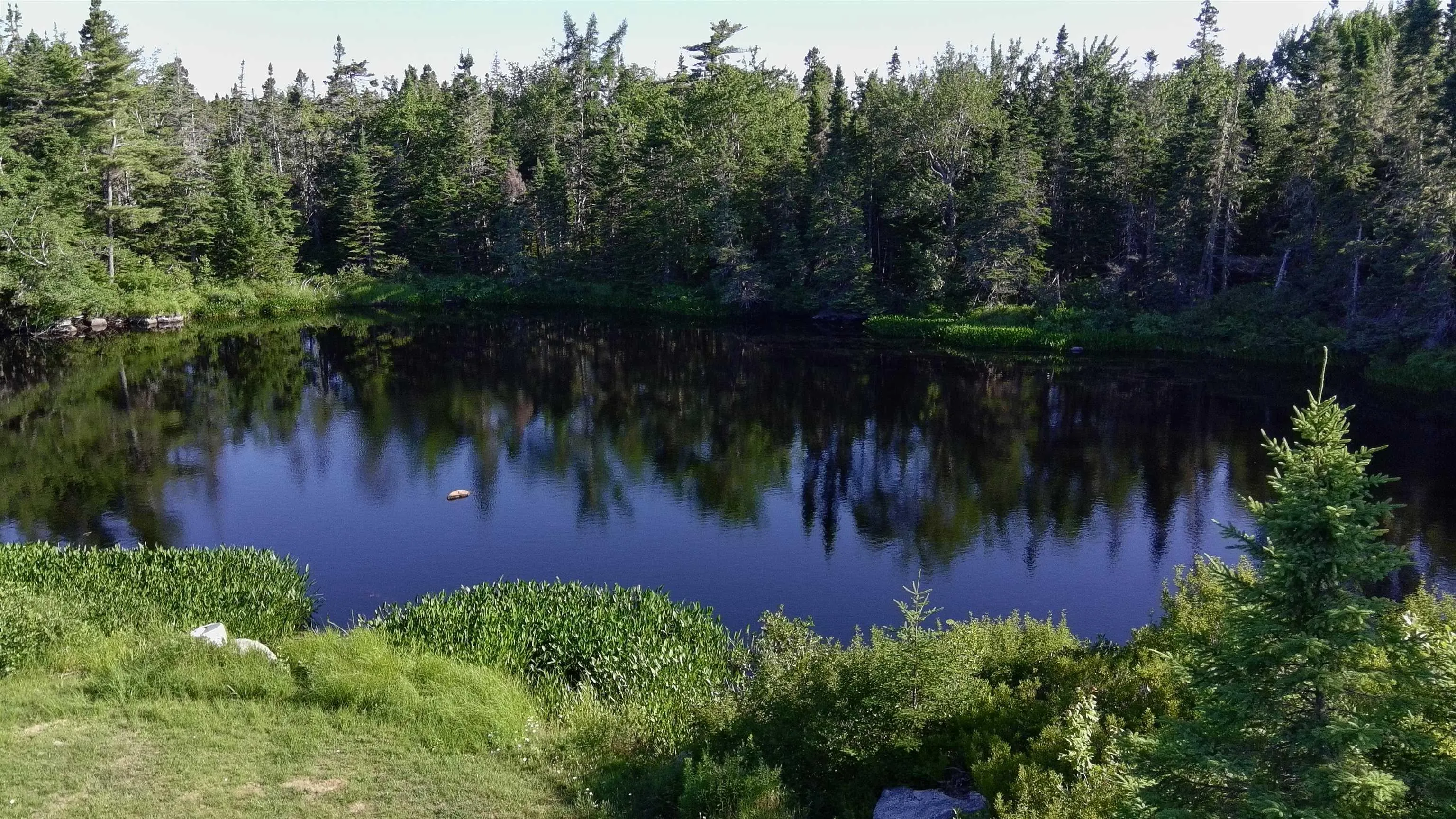 Highway 329 Lot 5f, East River, NS B0J 1T0, ,Land,For Sale,Highway 329,202516307
