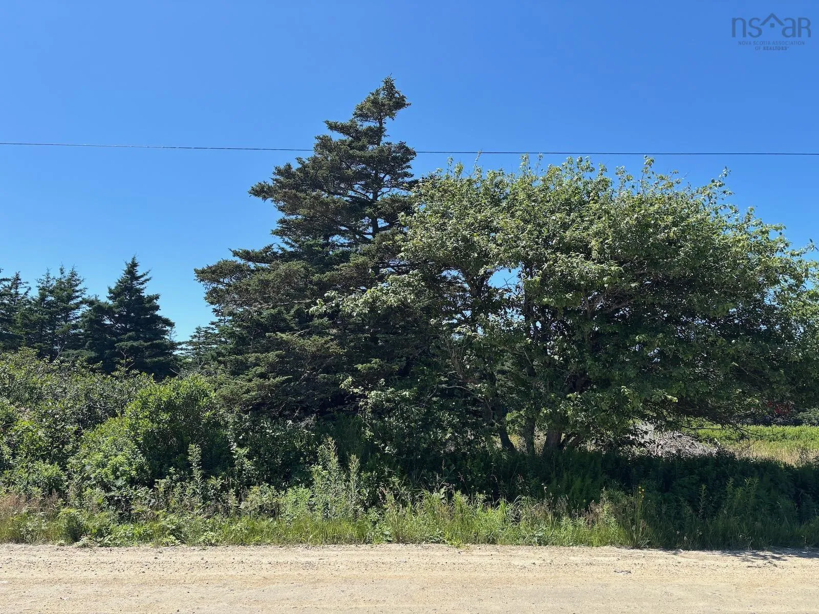 Lot 4 Main Shore Road, Port Maitland, NS B0W 2V0, ,Land,For Sale,Main Shore,202518537