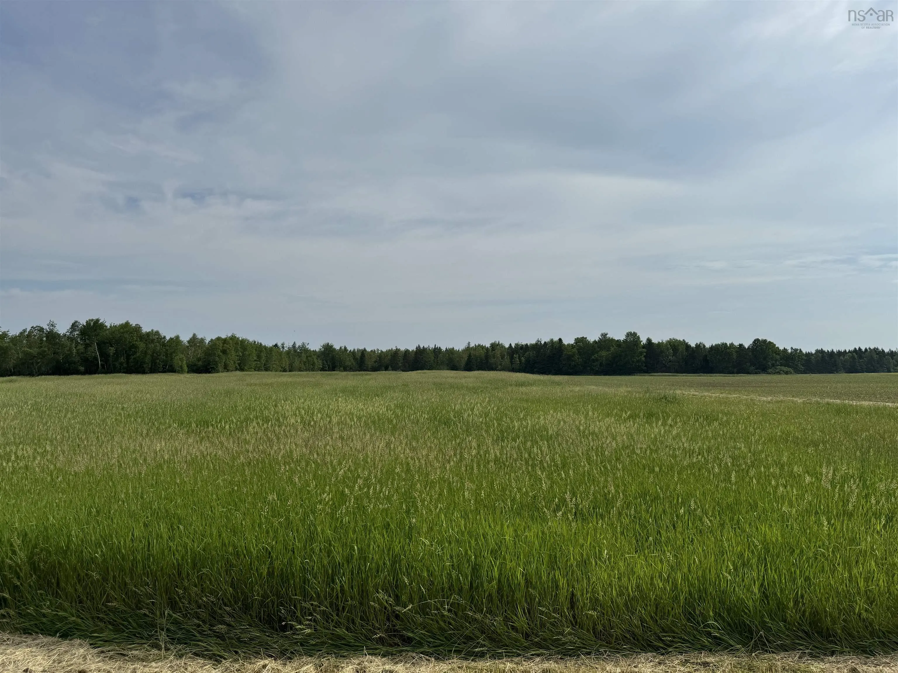 Scotch Hill Road, Scotch Hill, NS B0K 1H0, ,Land,For Sale,Scotch Hill,202518098
