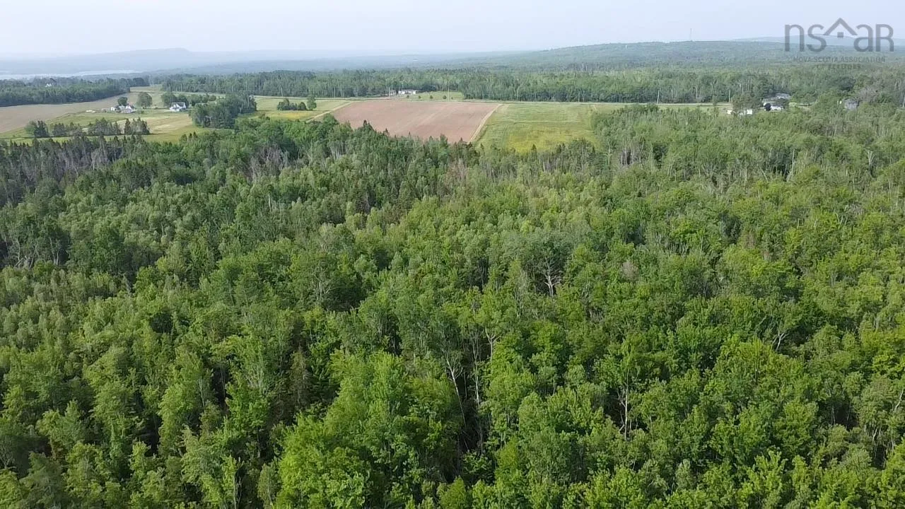 Scotch Hill Road, Scotch Hill, NS B0K 1H0, ,Land,For Sale,Scotch Hill,202518098