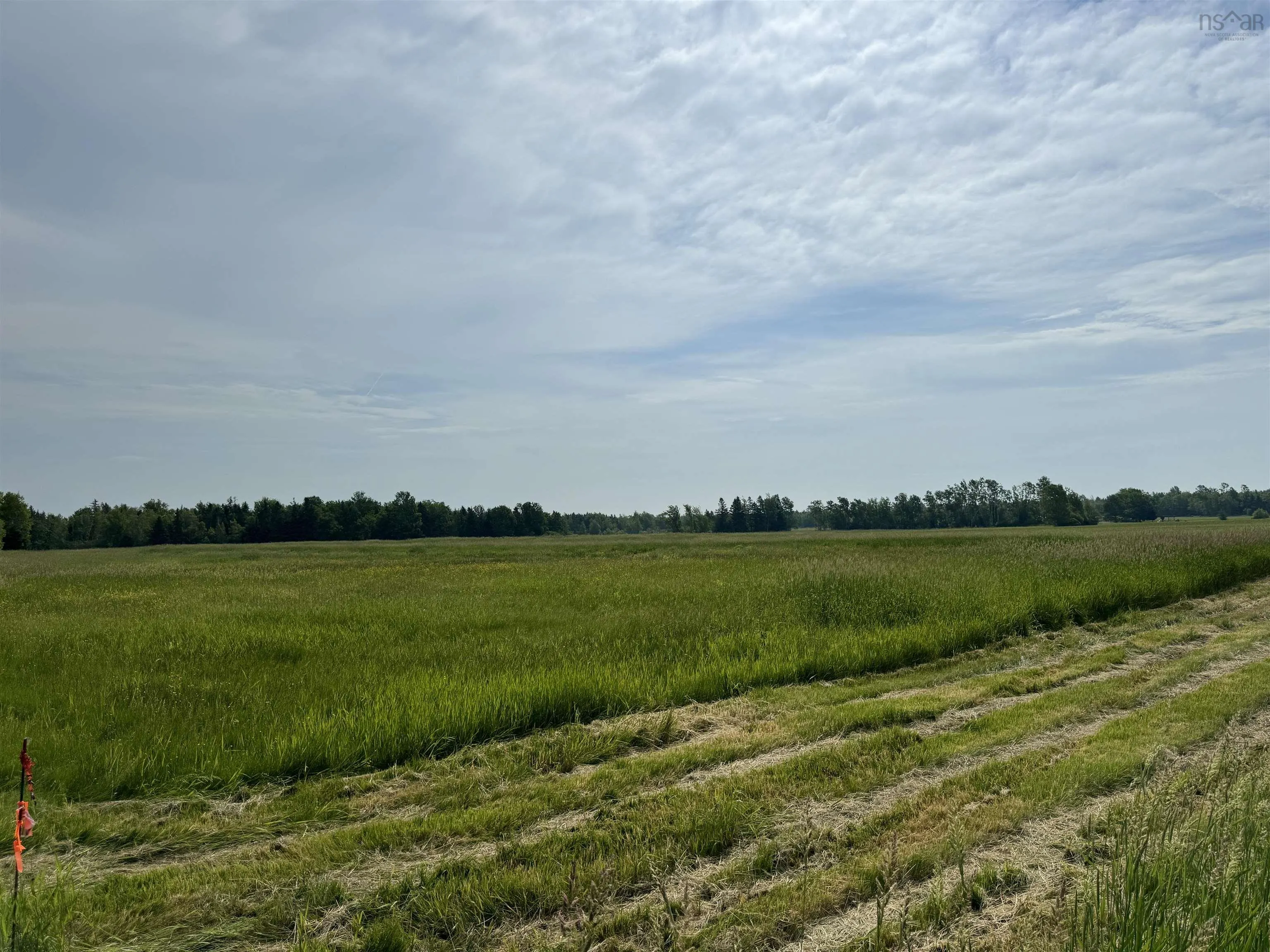 Scotch Hill Road, Scotch Hill, NS B0K 1H0, ,Land,For Sale,Scotch Hill,202518098