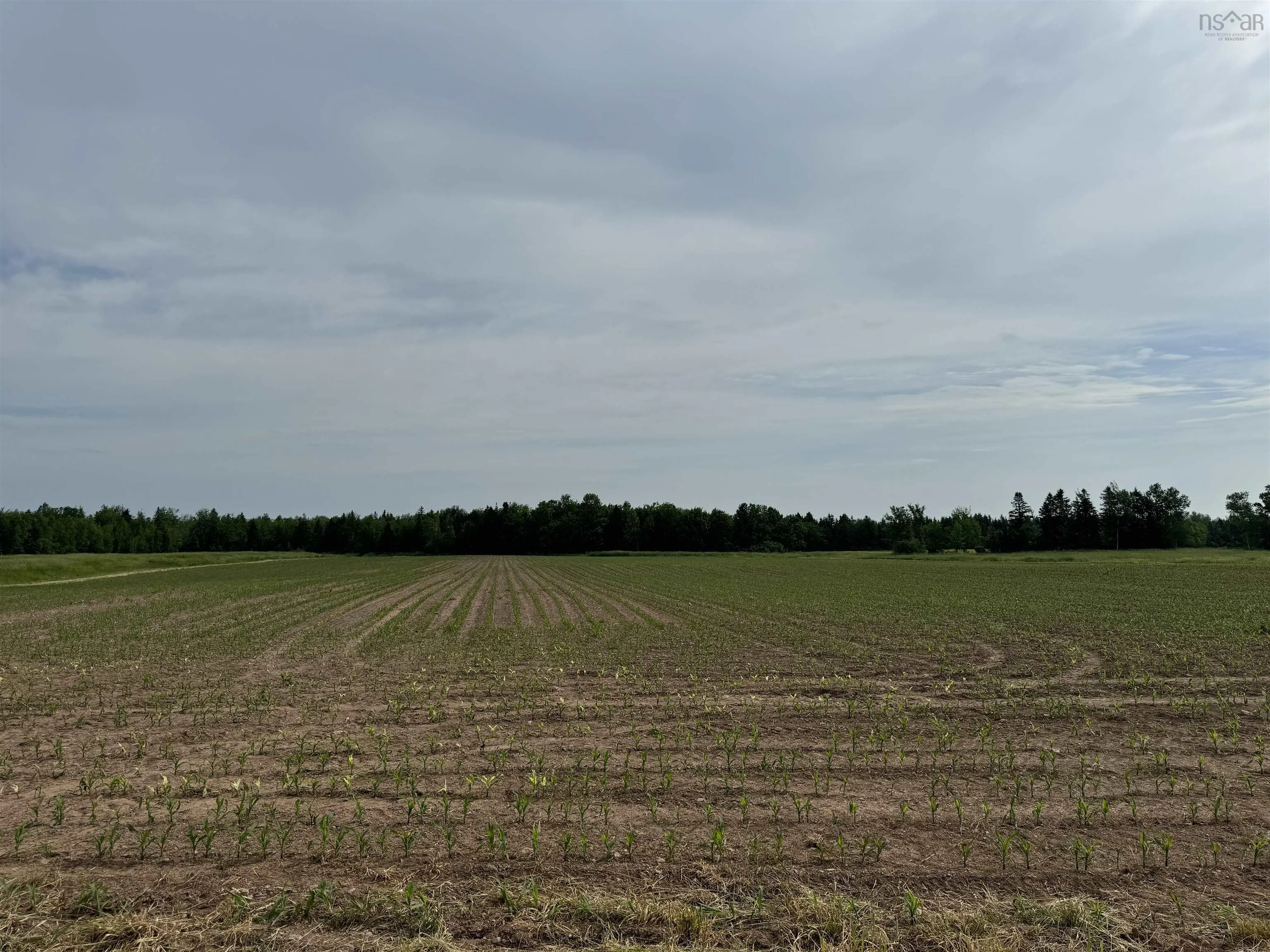 Scotch Hill Road, Scotch Hill, NS B0K 1H0, ,Land,For Sale,Scotch Hill,202518098