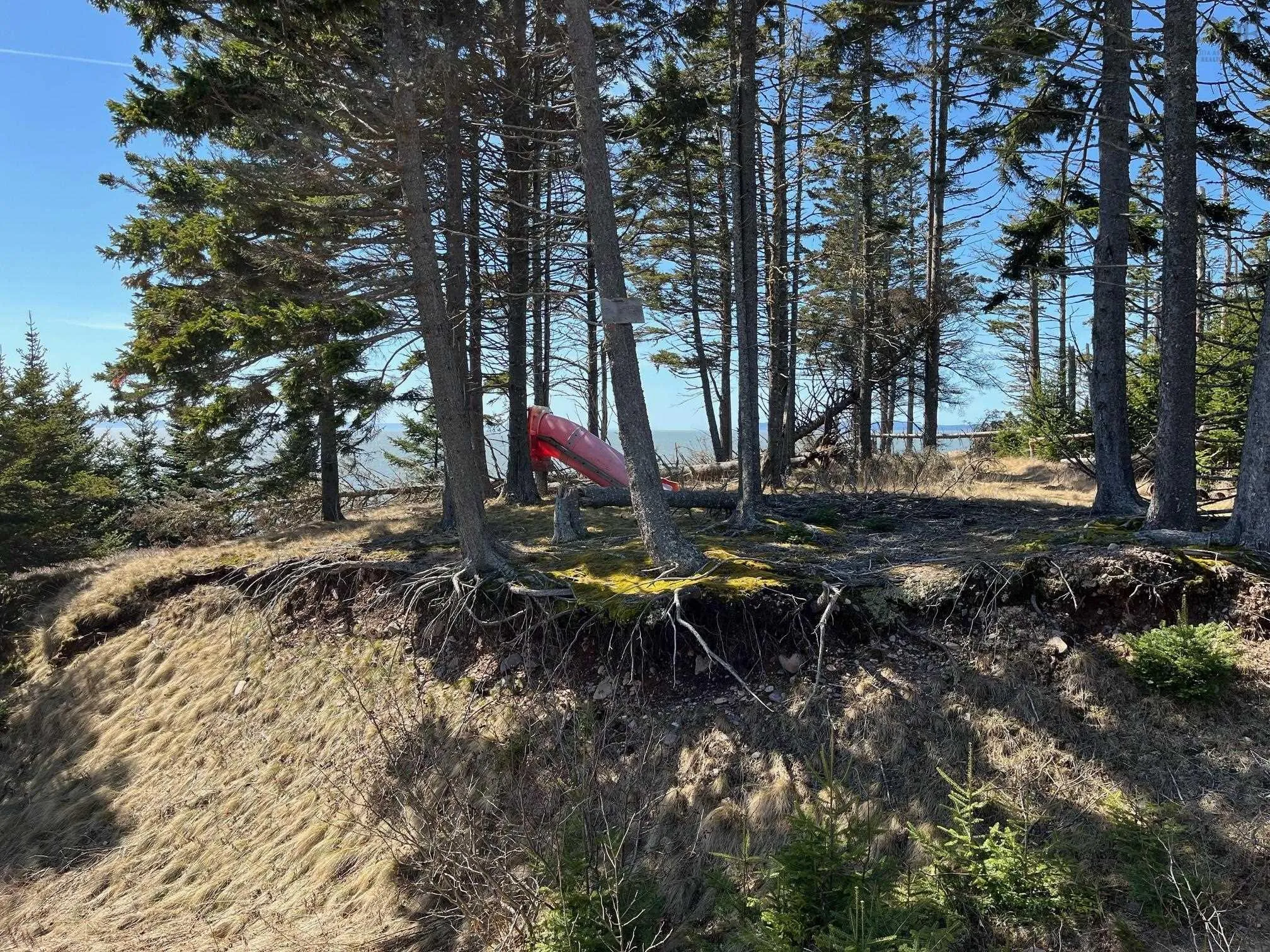 8208 Highway 209, Wards Brook Ns B0m 1s0, 1 Bedroom Bedrooms, ,Residential,For Sale,Highway 209,202507979