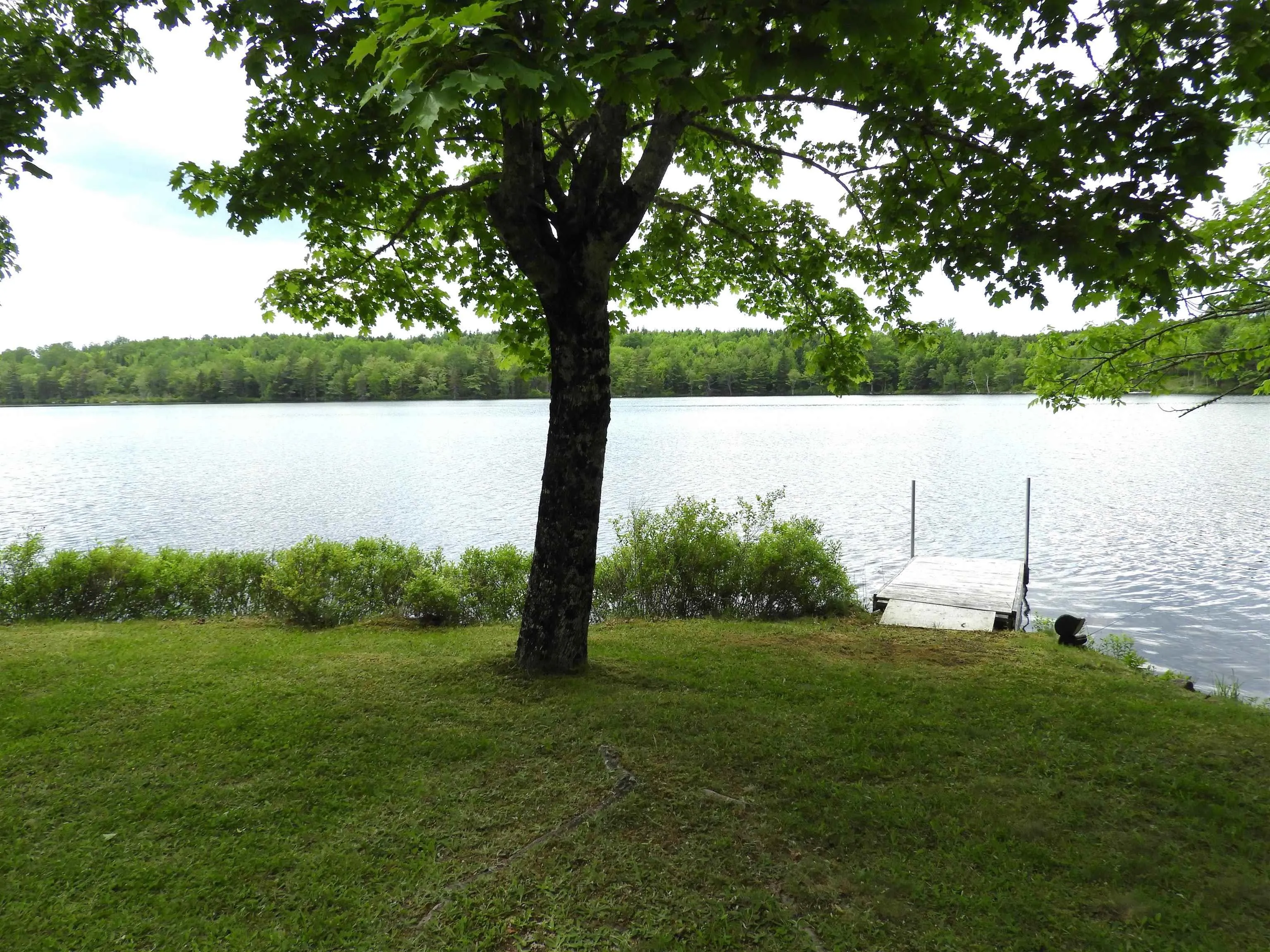 70 Sefferns Lake Drive, Aldersville, NS B0J 2M0, 2 Bedrooms Bedrooms, ,1 BathroomBathrooms,Residential,For Sale,Sefferns Lake,202514972