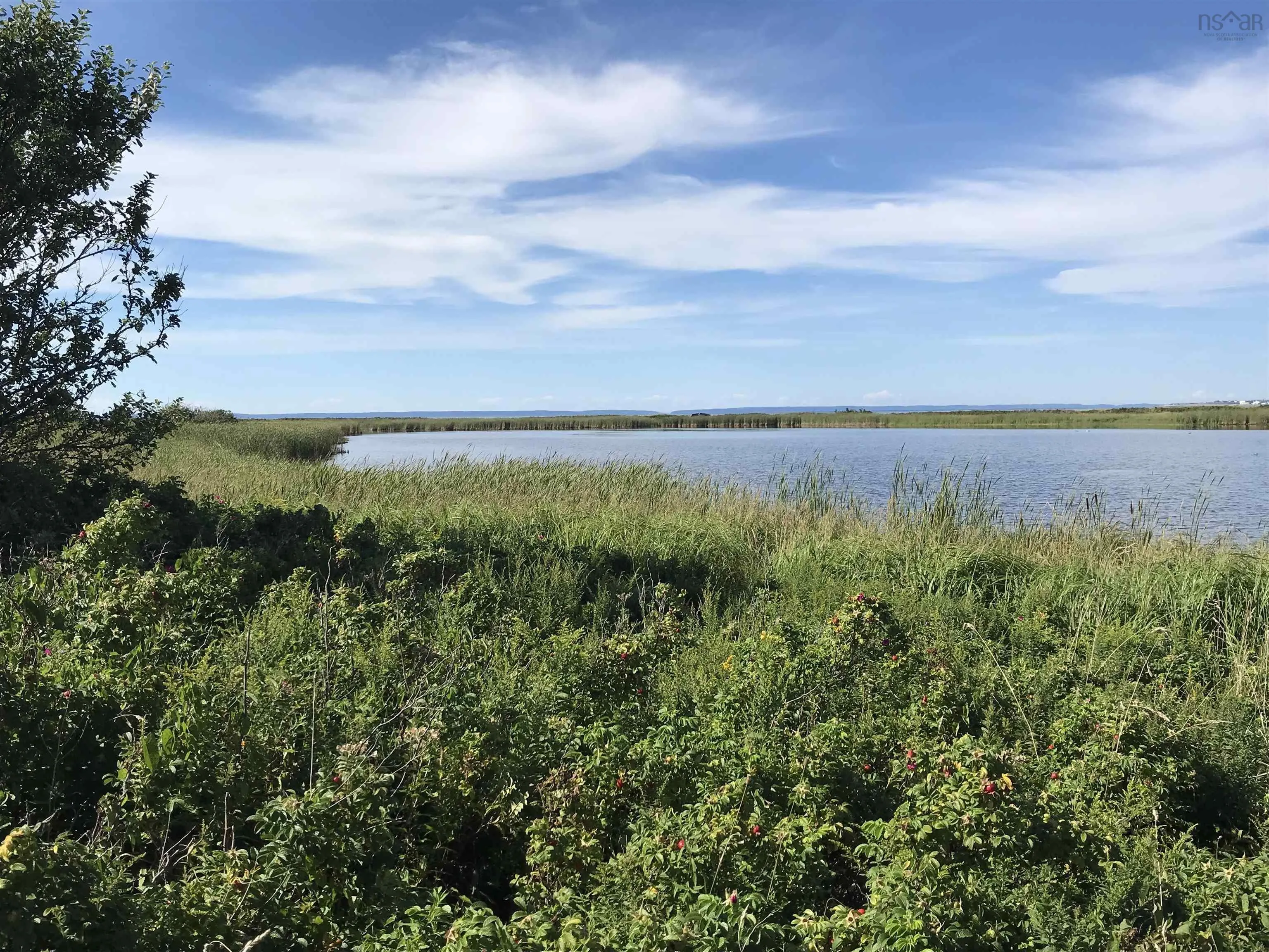 Solomon Lane, Meteghan River Ns B0w 2l0, ,Land,For Sale,Solomon,202124754