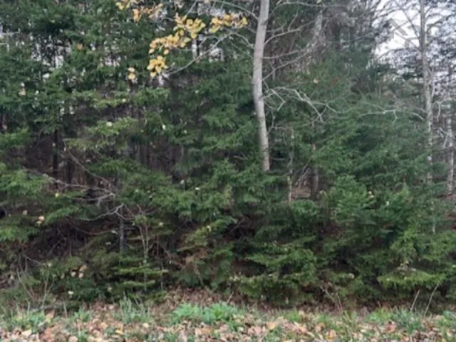 Lakeview Avenue Lot 32, Middle Sackville Ns B4e 3b8, ,Land,For Sale,Lakeview,202425691
